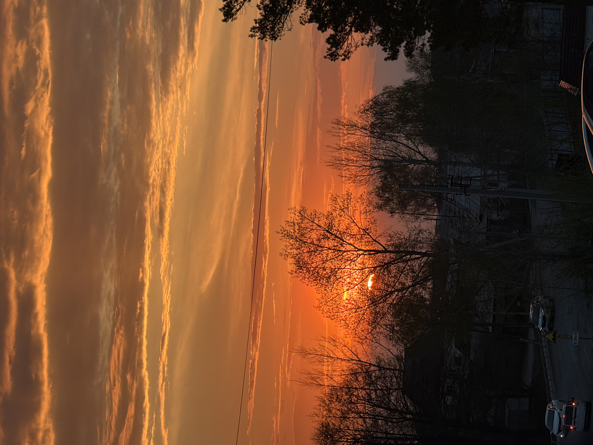 Captured from an elevated vantage point, the image portrays an orange sunset silhouetting trees against the sky. The sun, positioned low, radiates through branches of a tree creating a vivid contrast. Elongated clouds painted with light stretch across the sky. In the lower right quadrant, partially shadowed due to the sunset, there are buildings and vehicles with lit tail lights indicative of dusk or early night. A street sign is also visible. The photo was taken in Chaikovsky, Russia.