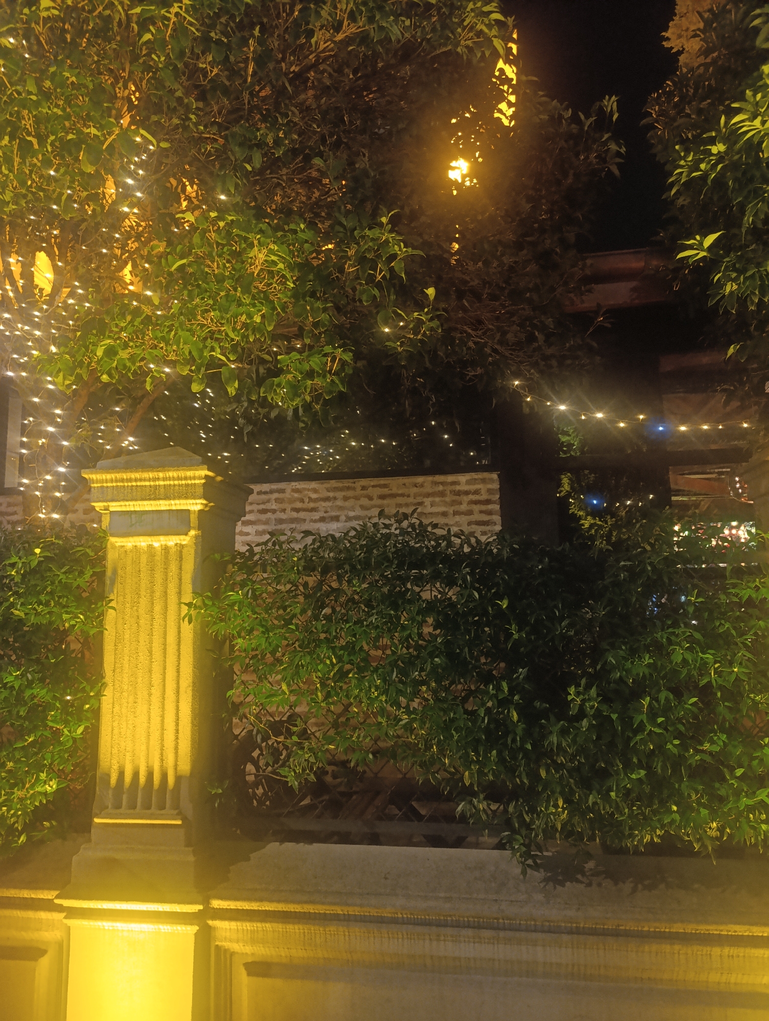 The image shows a dimly lit outdoor scene at night, likely in Batumi, Georgia, with lush green foliage dominating the foreground. A tall, fluted column, illuminated by a warm yellow light from below, stands prominently on the left side of the frame. This column appears to be part of an architectural feature, possibly an entrance or boundary. Behind the column and to the right, a hedge of dense green bushes creates a textured barrier.
In the background, a brick wall is visible, partially obscured by trees and more greenery. Strings of small, white lights are draped across the trees and foliage, creating a festive and somewhat magical atmosphere. Some of these lights are blurred, indicating their bokeh effect in the low-light conditions. One particularly bright, warm yellow light source shines through the trees in the upper portion of the image, suggesting a street lamp or a decorative light fixture. The overall impression is that of a beautifully decorated outdoor space, perhaps a garden, courtyard, or restaurant patio, illuminated for an evening ambiance. No people are visible in the image.