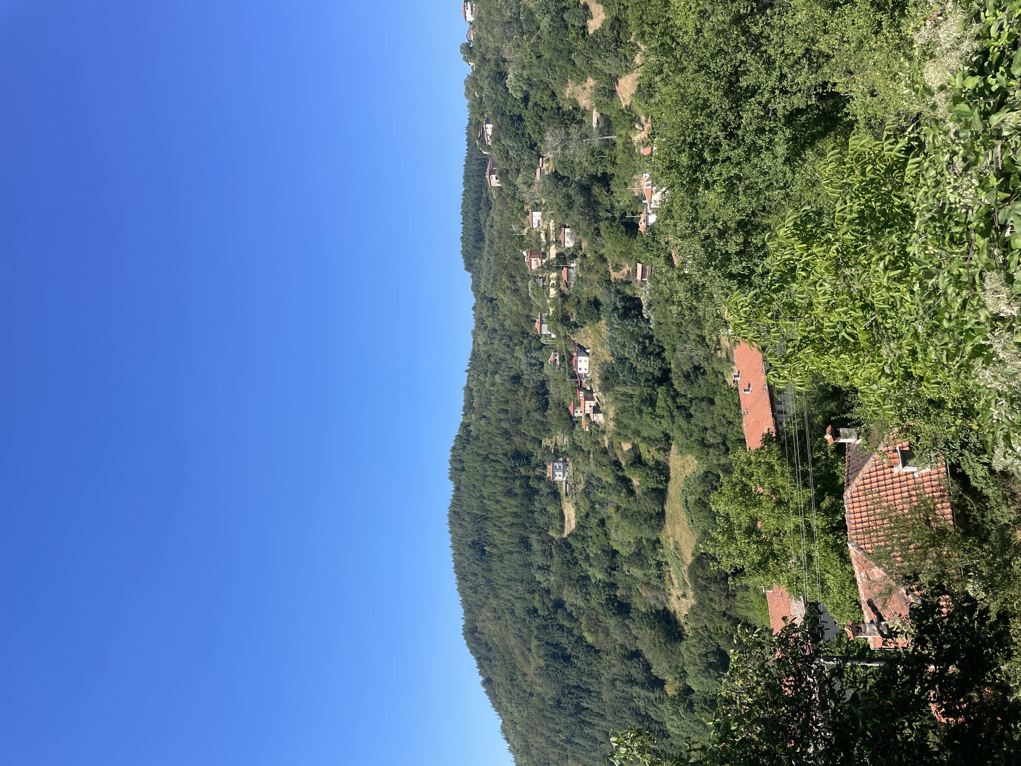 The image depicts a hillside village scene in Davidkovo, Bulgaria, under a clear, bright blue sky. The foreground is dominated by lush green foliage, with trees and shrubs partially obscuring the view. Several houses with distinctive red-tiled roofs are visible nestled among the trees.
The middle ground and background showcase the houses scattered across a verdant, forested hillside. The architecture appears to be traditional, with some homes appearing older and others more modern. The forest itself is dense with a variety of trees, indicating a natural, undeveloped environment. The terrain is steep, with the houses built on terraces and slopes. The overall impression is of a tranquil, rural setting.