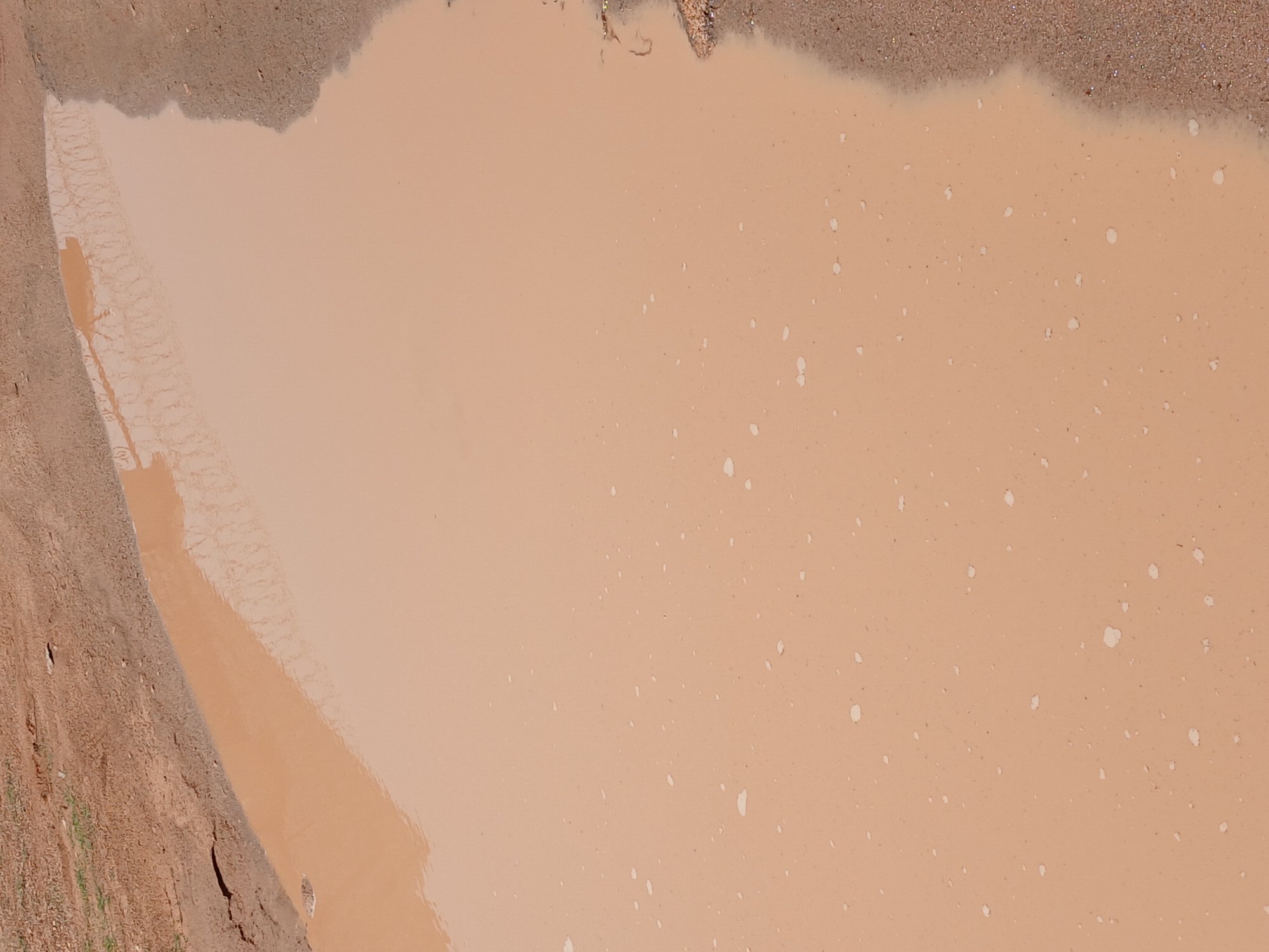 The image shows a muddy puddle on a dirt road in Kwang, Nigeria. The puddle is light brown in color and has a slightly rippled surface. There are small white specks scattered across the surface of the water, possibly debris or foam. The edge of the puddle is lined with dirt and gravel. In the upper left portion of the image, tire tracks are visible in the mud adjacent to the puddle. The overall scene depicts an outdoor environment, likely a rural or unpaved area.