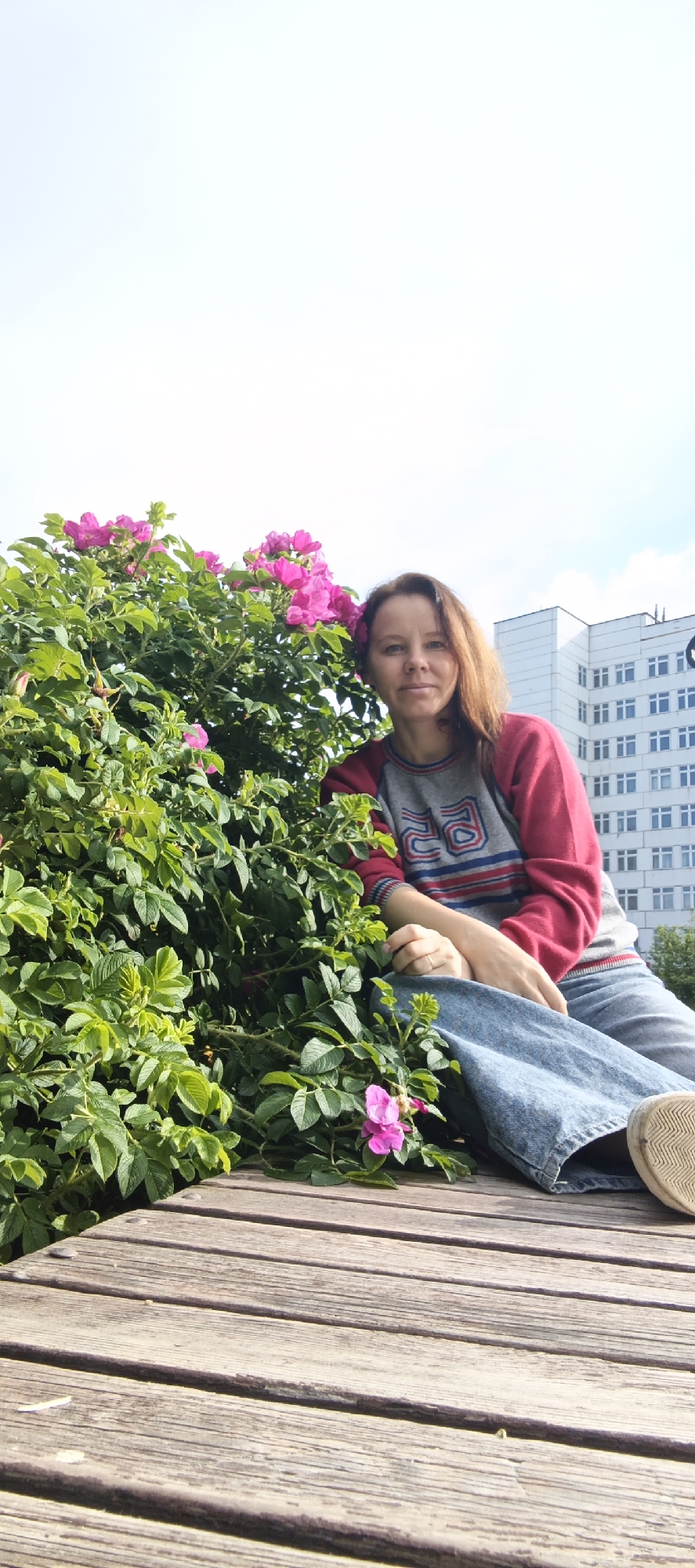 A woman is sitting on a wooden bench next to a flowering bush with pink roses. She is wearing a gray and red sweater and blue jeans. Behind her, there is a modern white building with many windows. The sky is blue with some white clouds. The scene appears to be in a park or outdoor public space. The location is the city of Chaikovsky, Russia.