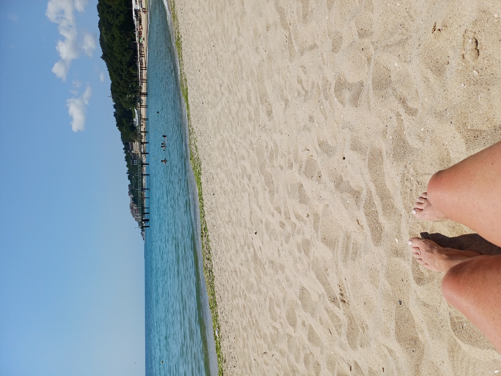 The image captures a sunny day at a beach in Varna, Bulgaria, likely in the summer months given the clear blue sky and the presence of people swimming. The foreground is dominated by a sandy beach with subtle footprints and scattered shells. The middle ground shows the turquoise sea with a gentle shoreline and a band of green algae. In the background, a long wooden pier extends into the water, with buildings and lush green trees adorning the hillside beyond. Several individuals are visible in the water, enjoying a swim. The overall impression is one of a relaxed and picturesque coastal scene.