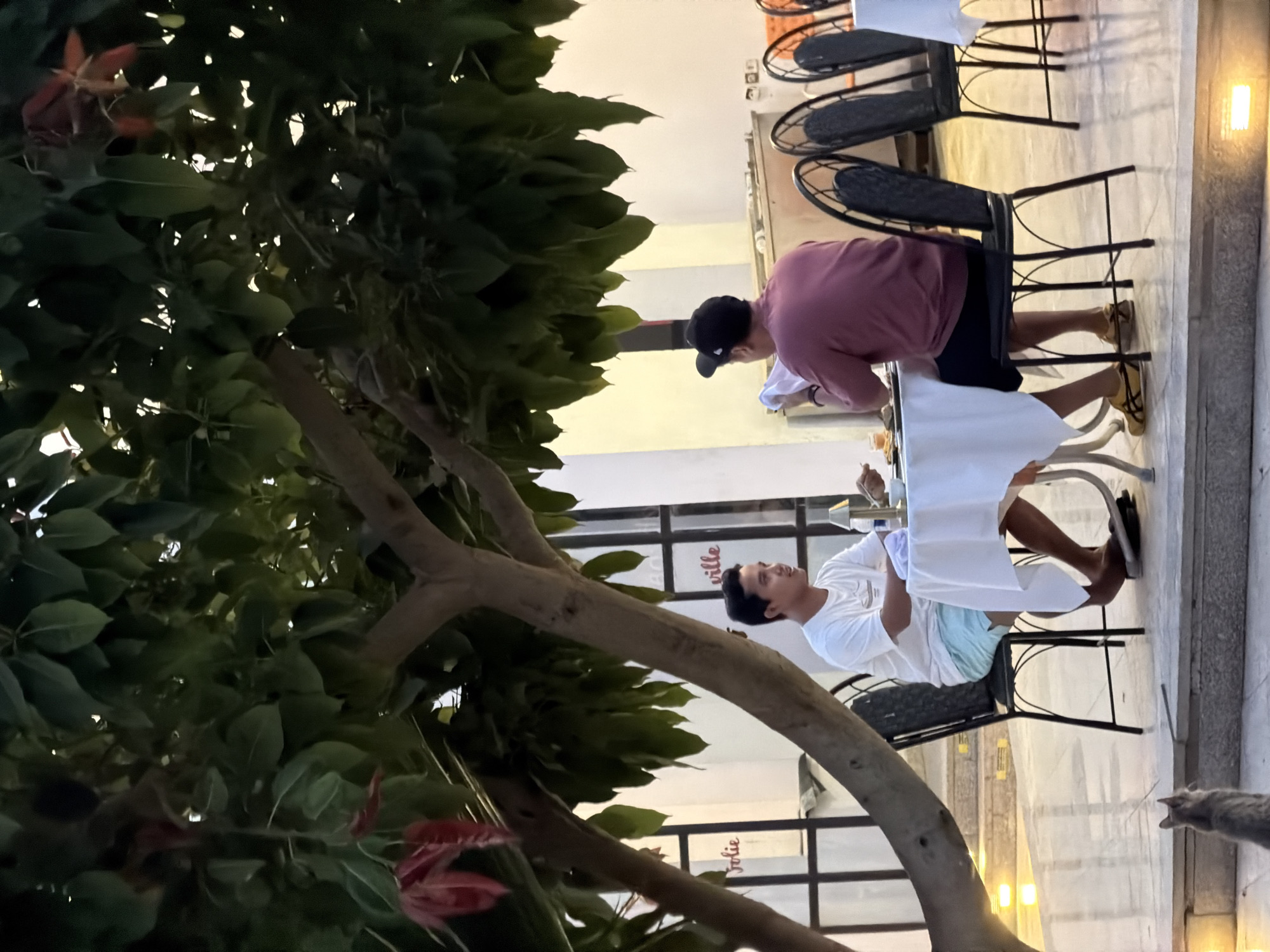 Two men are seated at a table outdoors, possibly at a restaurant in Sharm El Sheikh, Egypt. The man on the left is wearing a white t-shirt and light blue shorts, facing towards the right and looking down at something on the table. The man on the right is wearing a burgundy sweatshirt and a black baseball cap, facing away from the camera and appears to be holding a white cloth. A white tablecloth covers the table, on which there are plates of food and drinks. The scene is set under the canopy of a large tree with green leaves and some reddish new growth. In the background, there is a building with windows and text that appears to say "Jolie" and "ville". The ground is tiled, and there are decorative lights on the steps in the foreground. A grey cat is visible in the lower left corner of the image. The lighting suggests it is evening.