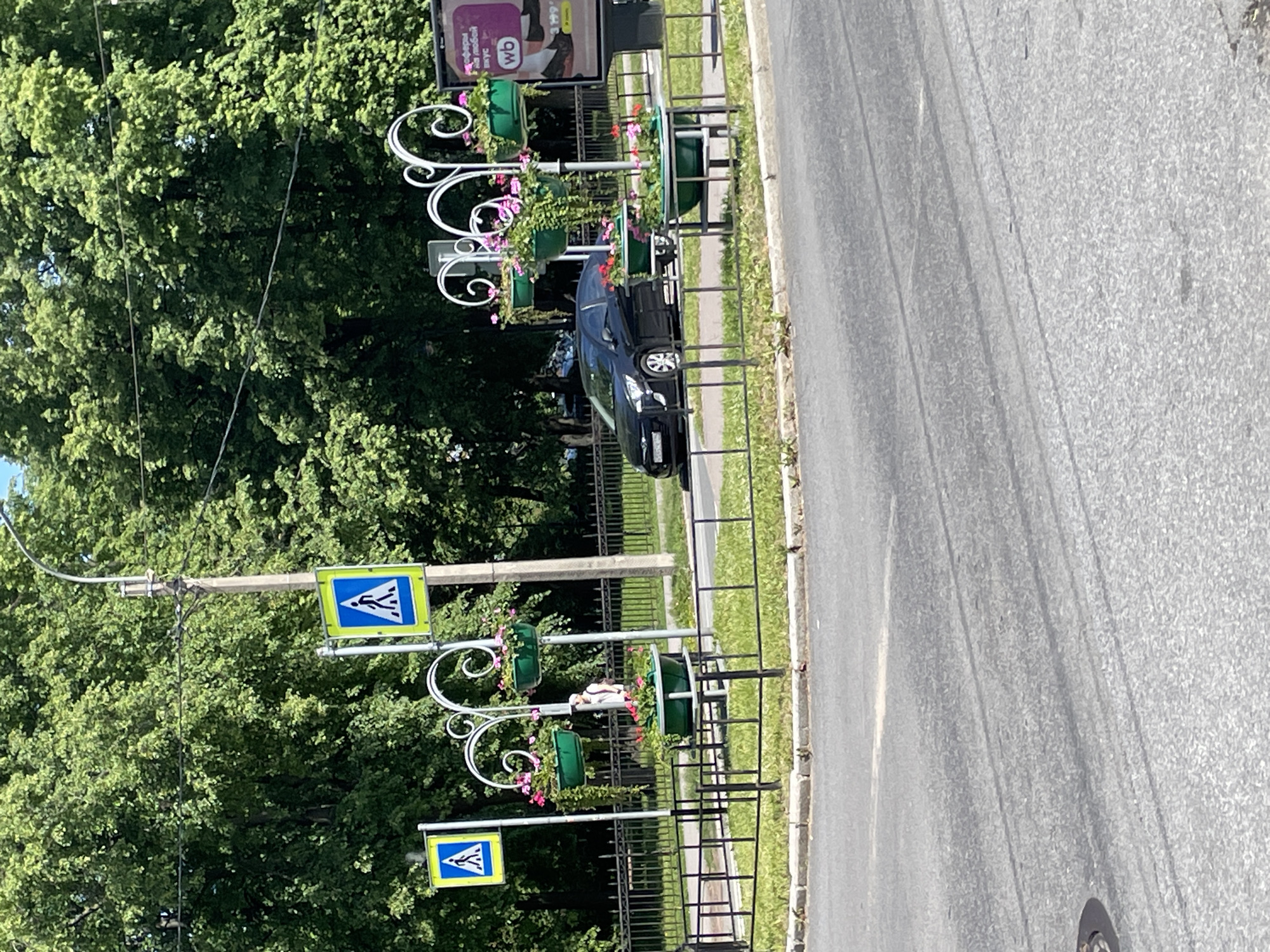 This is a medium-shot, eye-level, outdoor, daytime, street-level photograph taken from a slightly elevated perspective, looking towards a crosswalk area in Saint Petersburg, Russia. The scene is dominated by lush green trees in the background and a paved road in the foreground.
In the mid-ground, there are two blue and yellow pedestrian crossing signs, mounted on poles. Between them, a decorative metal structure with several hanging green planters filled with pink and red flowers adds a touch of ornamentation. A black sedan is parked on the side of the road, to the right of the planters. A person, wearing a white cap and a light-colored shirt, is visible standing behind the planters, appearing to be looking towards the left. A black metal fence runs along the perimeter of the planted area, separating it from the road and sidewalk.
To the far right of the image, a large advertisement billboard is partially visible, featuring the "wb" logo. The road surface shows tire marks and some scattered debris. The overall impression is a bright, sunny day in an urban environment with decorative elements integrated into the streetscape.