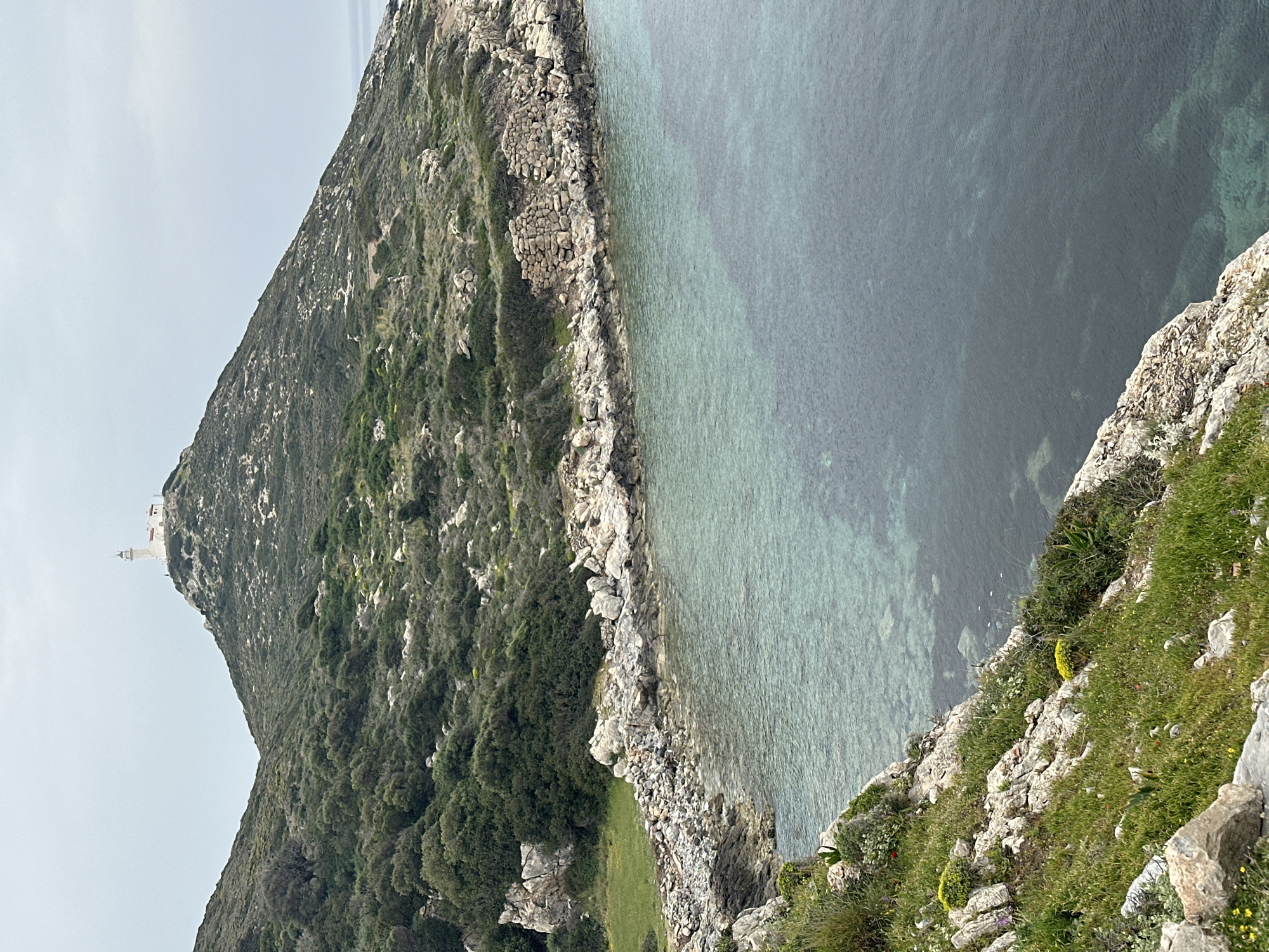 The image captures a serene coastal landscape, likely viewed from a clifftop under an overcast sky. A large, verdant hill dominates the left side of the frame, its slopes densely covered with green vegetation, including trees, bushes, and scrub, interspersed with exposed grey rock formations. Perched atop the distant peak of this hill is a distinct white building, possibly a lighthouse or a small observation post, standing out against the light grey sky.
To the right, the calm, clear sea stretches towards the horizon. Near the shoreline, the water exhibits a striking aquamarine hue, indicating shallow depths and allowing the rocky seabed to be visible. Further out, the water deepens to a darker, more opaque blue. The transition between land and sea is marked by a rugged, rocky coastline composed of light-colored stones and boulders, forming a natural boundary.
In the immediate foreground, a rocky cliff edge, covered with patches of vibrant green grass and scattered small yellow wildflowers, provides a natural frame to the scene. The sky above is uniformly light grey, suggesting an overcast day with soft, diffused lighting, contributing to the tranquil atmosphere. There are no visible people or specific activities taking place, and no discernible text is present. The scene conveys the rugged and pristine beauty of the Datça coastline in Turkey.
