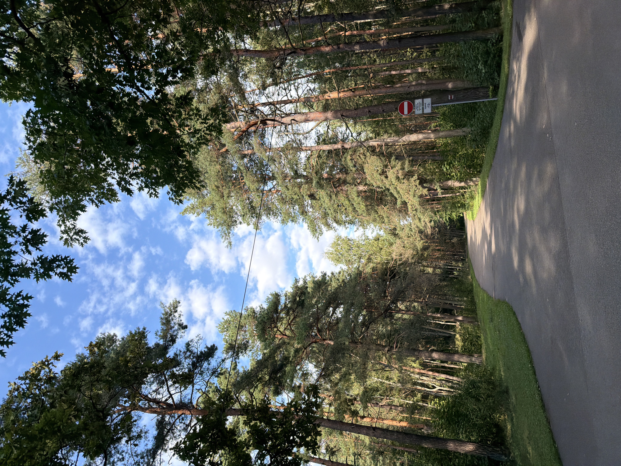 A winding paved road cuts through a dense forest of tall pine and deciduous trees. The road is bordered by lush green grass on the left and a thick undergrowth of bushes and smaller trees on the right. Sunlight filters through the canopy, casting dappled shadows on the road. In the distance, the road disappears into the trees. A traffic sign with a red circle and a horizontal bar, indicating "no entry," is visible on the right side of the road. The sky above is a vibrant blue, dotted with fluffy white clouds. The overall impression is one of a serene and natural setting within the city of Riga, Latvia.