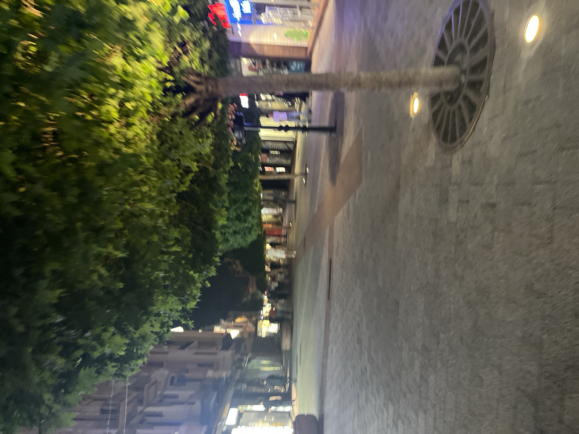The image displays a nighttime scene of a pedestrian street in Plovdiv, Bulgaria. The thoroughfare is paved with dark grey interlocking pavers, featuring a central darker stripe. Multiple trees with lush green canopies line the street, their foliage illuminated by artificial light, creating vibrant green and yellow reflections against the dark background. A prominent tree in the foreground on the right is anchored by a circular metal grate at its base, flanked by two recessed circular ground lights emitting a warm yellow-orange glow.
Buildings with brightly lit storefronts, showcasing various signs including red and blue neon-like illumination, line both sides of the street. Several blurry human figures are present: two individuals walk away from the camera on the left near a brightly lit shop, and another person in light-colored clothing stands near a black lamppost in the mid-ground on the right. Additional indistinct figures are visible further down the street, suggesting casual pedestrian activity. A dark, round planter is visible on the far left, and a circular, raised concrete structure is situated in the mid-ground. The overall environment is an urban pedestrian zone at night, illuminated by numerous artificial light sources.