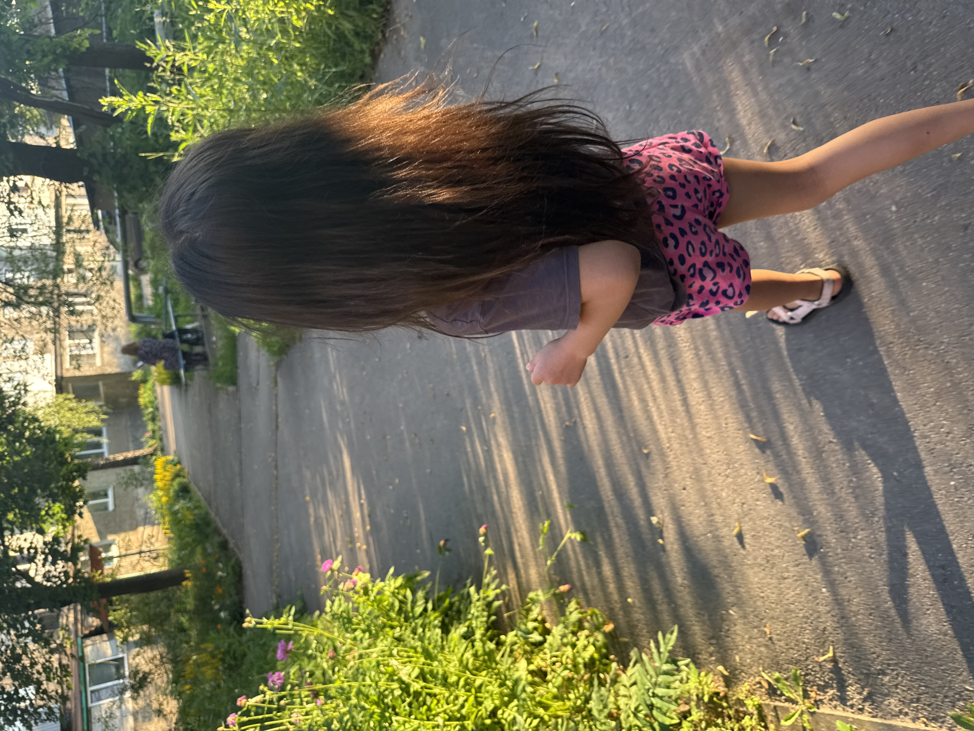An outdoor, eye-level, medium shot captures a young girl from behind as she walks away from the camera down a paved pathway. She has long, dark hair and wears a gray t-shirt and pink leopard-print shorts. Her right hand is slightly raised as she walks. The pathway is lined on the left by a dense patch of green foliage with small pink flowers, and on the right by more green vegetation. The ground of the pathway is a light gray concrete and is dappled with shadows from overhead trees. In the background, a multi-story building with windows and balconies is visible, and further to the right, another person is sitting on a bench. The lighting suggests it is late afternoon.