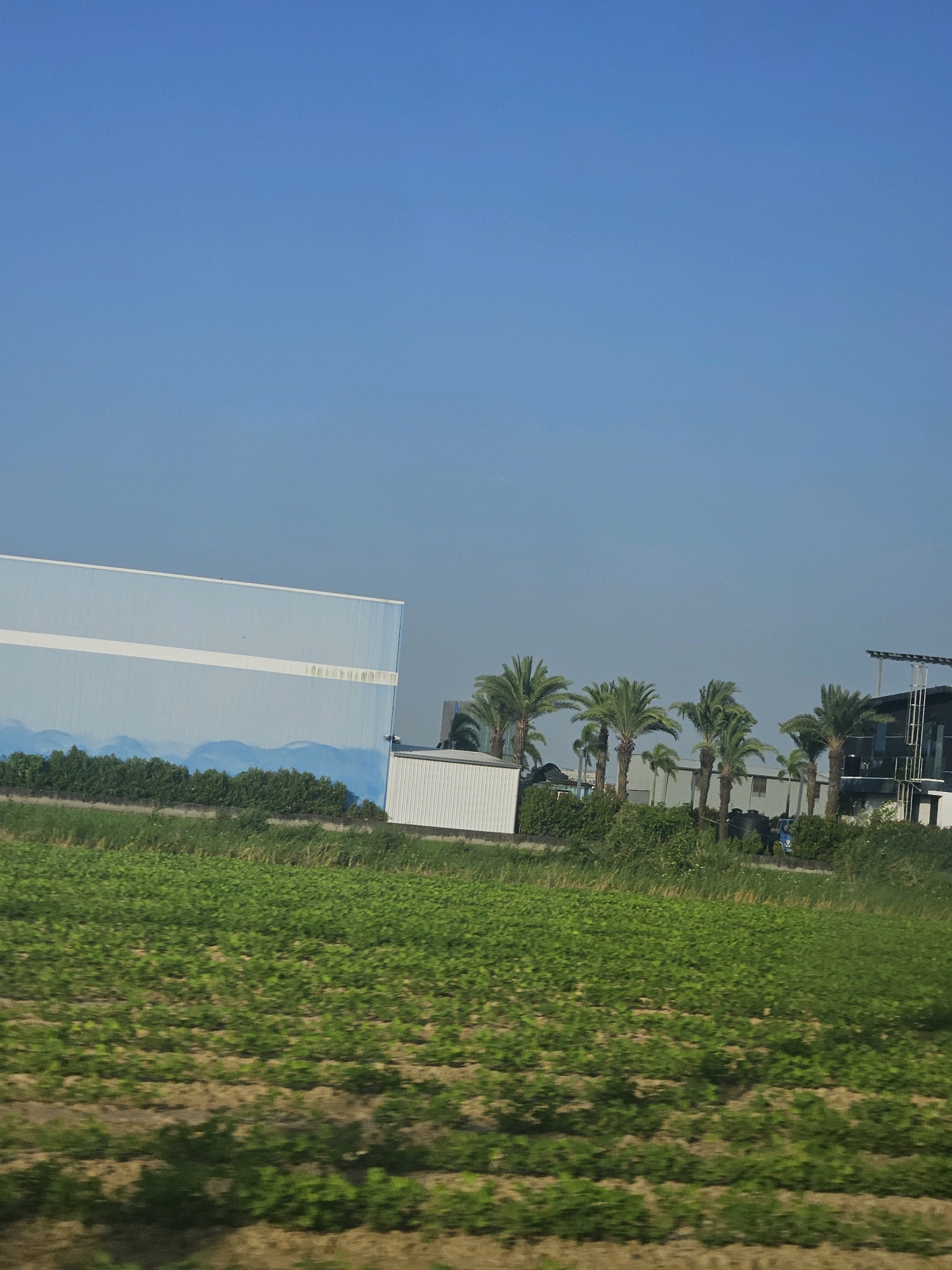 The image depicts an outdoor scene in Huwei Township, Taiwan, under a clear blue sky. In the foreground, a field of green crops stretches across the frame, with rows of plants visible on slightly uneven ground. In the middle ground, a line of lush green trees and bushes separates the agricultural field from a series of buildings. These buildings include a large, light blue industrial-style structure with a white horizontal stripe, and to its right, a smaller white rectangular building. Further to the right, a row of palm trees stands in front of more structures. One building features a modern design with dark glass and a prominent staircase. The background is dominated by the expansive blue sky, with the horizon line meeting the structures and greenery. There are no people visible in the image.