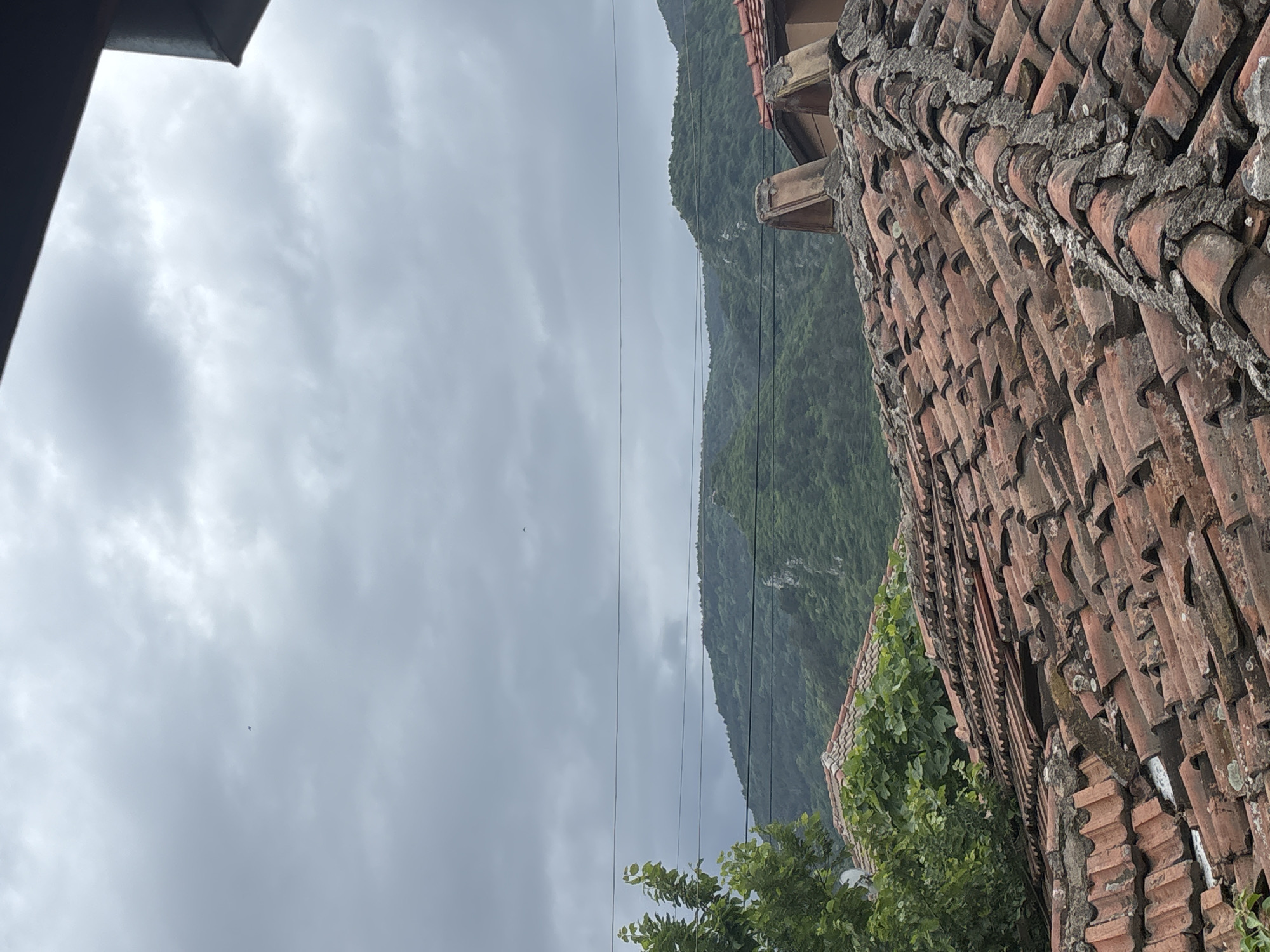 The image shows a view from Asenovgrad, Bulgaria. The sky is overcast with grey clouds. In the distance, a mountain range covered in dense green vegetation is visible. Power lines run across the frame. To the right, a building with a terracotta tile roof is seen. Green foliage partially obscures the building. Part of another building is on the left.