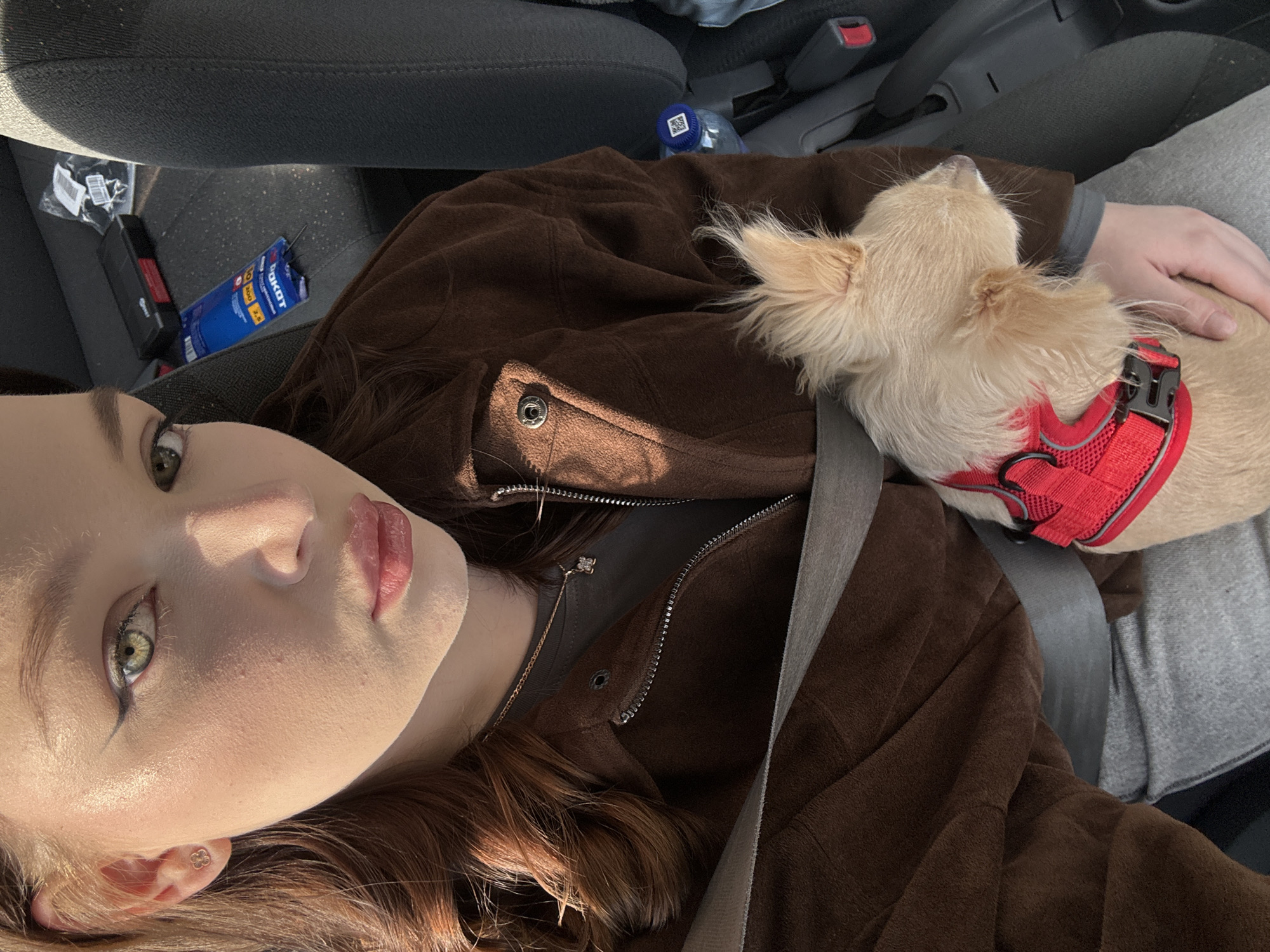 A woman is sitting in a car, wearing a brown jacket and a seatbelt. A small, light brown dog wearing a red harness is resting on her lap. Various objects are visible in the background, including a water bottle and a package of what appear to be windshield wipers. The setting is inside a car, but the specific location in Yekaterinburg, Russia, cannot be determined from the image.