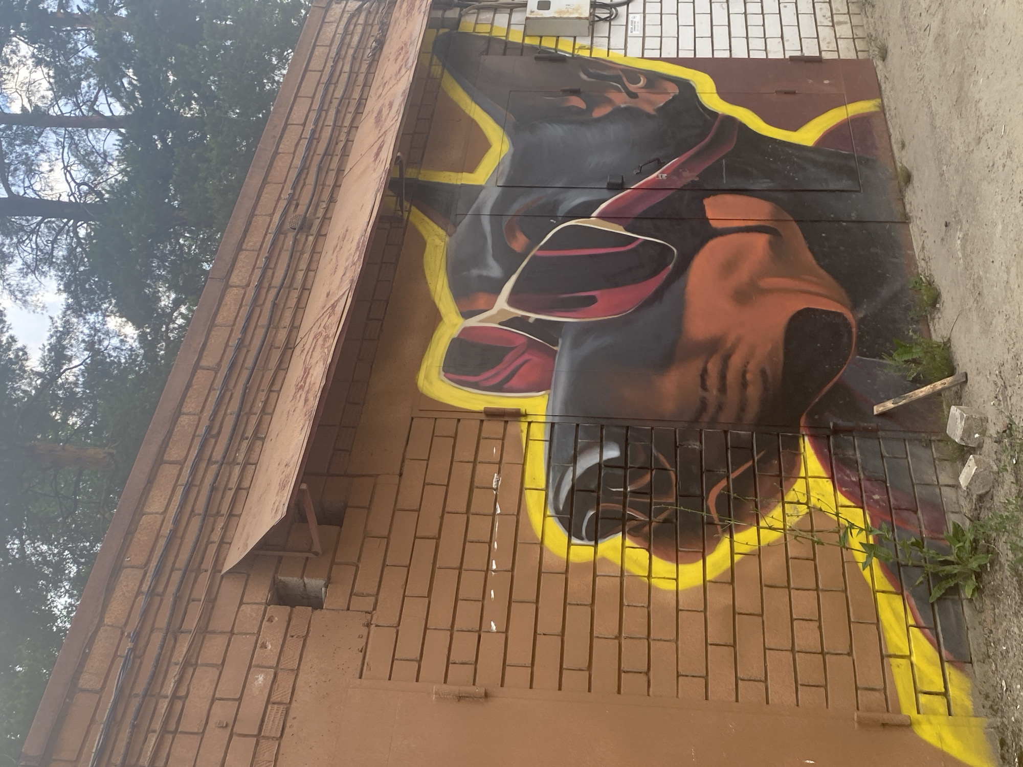 The image shows a graffiti mural of a dog wearing sunglasses on the side of a brick garage in Zelenodol'sk, Russia. The mural depicts the dog's head and shoulders, with its dark fur contrasted by bright yellow and red accents. The dog is facing to the left, and the sunglasses are large and reflective, with red lenses. The garage itself is made of brown bricks, with a corrugated metal awning extending over the top. In the background, there are trees and a cloudy sky. The ground in front of the garage is dirt and gravel, with some weeds growing. There are also two small gray concrete blocks visible on the ground. A white electrical box is mounted on the right side of the garage wall, next to the mural. The overall scene suggests an outdoor urban or suburban environment.