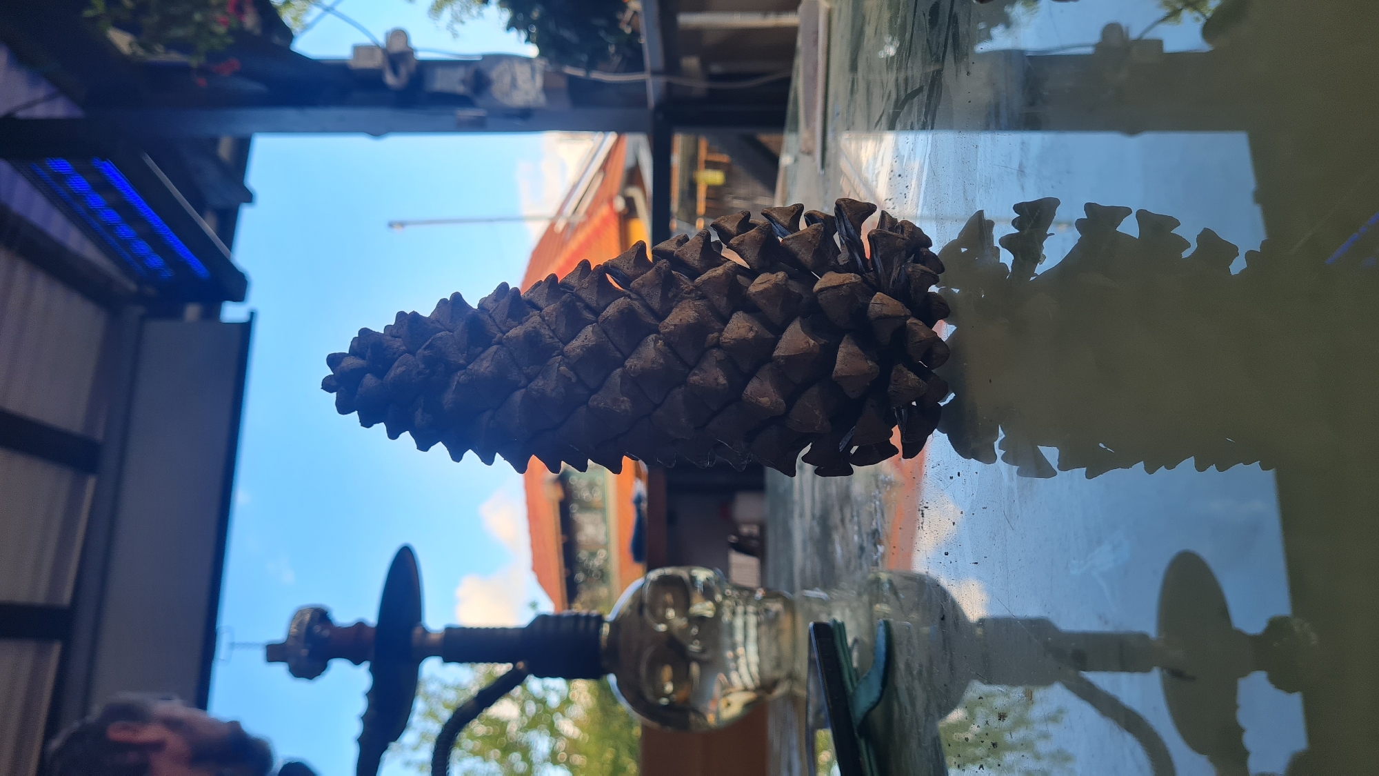 A pine cone sits on a reflective surface outdoors. Its shadow is visible on the surface. A hookah-style smoking apparatus is visible under the pine cone. The background shows foliage and buildings. The scene is framed by structures, including a metal frame with blue lights. Based on the location data (Lachish Regional Council, Israel), the outdoor setting is likely a residential or recreational space.