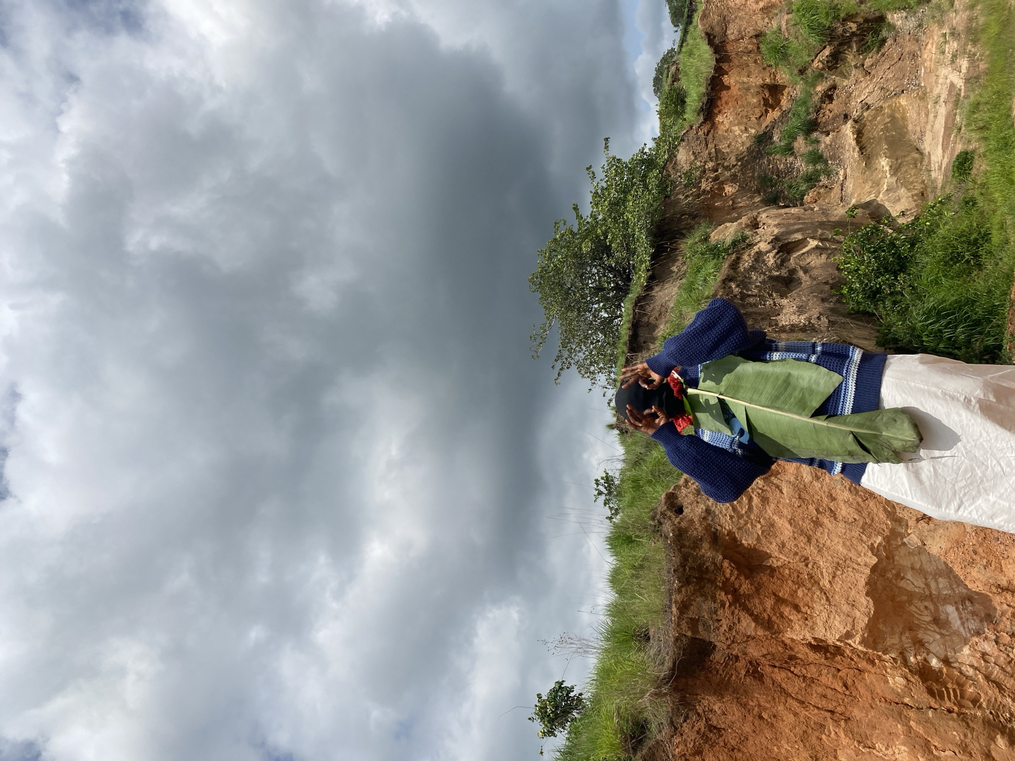 The image depicts a person wearing a blue and white striped sweater and white pants, holding a large green leaf with red flowers attached. The person appears to be standing on the edge of a rocky cliff in a natural setting. The background features a dramatic sky filled with dark, ominous clouds, suggesting an approaching storm or a cloudy day.
The cliff itself is made of reddish-brown rock, with patches of green grass and small bushes growing on its surface and along the edge. The terrain appears somewhat arid and exposed. In the distance, more green foliage can be seen, indicating a vegetated area beyond the cliff. The overall scene conveys a sense of natural beauty, possibly with a hint of drama due to the weather. The person's posture and the way they are holding the leaf and flowers could suggest a moment of contemplation or an offering. No text is visible in the image.