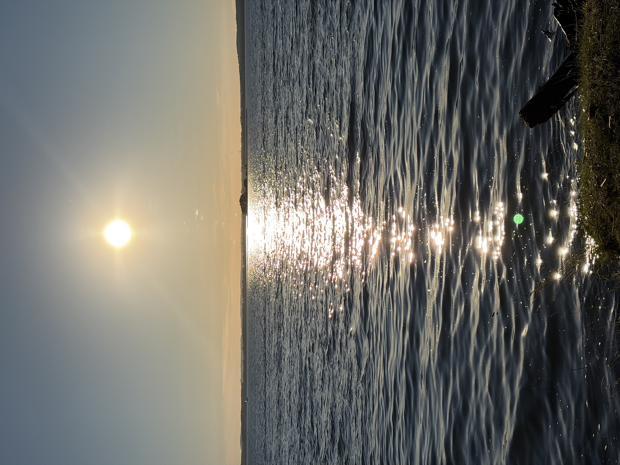 This is a vertical, eye-level, outdoor, full-shot photograph of a body of water during sunset. The sun is a bright, white orb near the top center of the frame, casting a shimmering reflection across the water's surface. The water is dark blue with small, rhythmic waves, and the reflection of the sun creates a bright, glittering path extending towards the viewer. In the distance, a faint, dark silhouette of a tree line or landmass forms the horizon. The sky is a gradient of light blue at the top, transitioning to a warm, pale orange near the horizon. The foreground shows a small strip of grassy shore with a dark, weathered piece of wood partially submerged in the water on the right. The image captures a serene, natural scene. This scene is consistent with the appearance of the water bodies and shorelines found in the Zhdanovichi rural council area of Belarus, known for its natural landscapes and recreational areas.