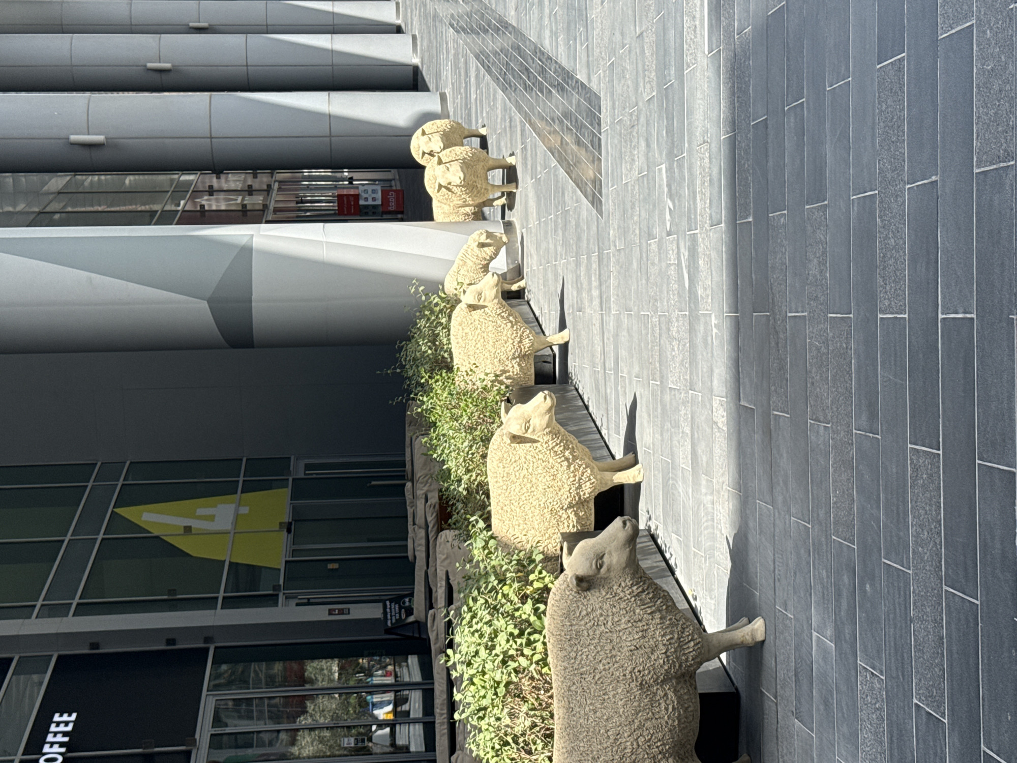 The image shows a row of animal statues on the sidewalk next to a building. The statues are spaced apart with some greenery. The building has a modern, commercial appearance with large windows and a yellow triangular design. The sign "COFFEE" is visible. The walkway is paved with dark gray rectangular tiles. The image, when rotated, indicates the location is in Dubai, United Arab Emirates.