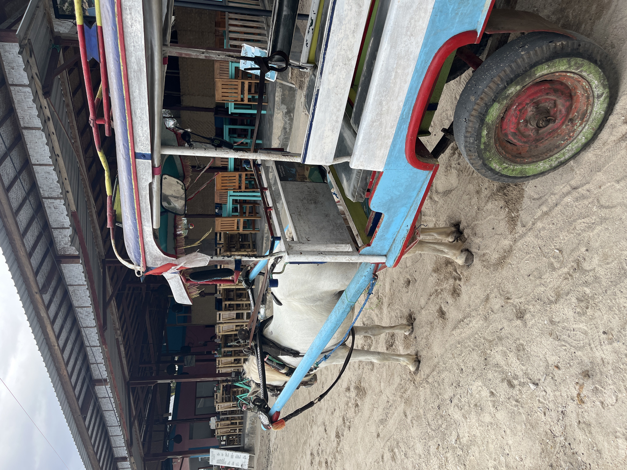 An eye-level shot captures a white horse harnessed to a brightly painted, two-wheeled cart (likely a cidomo) on sandy ground. The image is oriented vertically, showing the horse and cart in the foreground, with structures and the sky in the background.
The horse, light-colored or white, stands patiently, fitted with a black leather harness that includes blue rope accents. The cart is vibrant, featuring prominent blue panels, red trim, and yellow and white accents on its wooden frame. A single wheel is visible on the right, with a red hub and green painted tire. The cart's design suggests local craftsmanship, typical of horse-drawn transport in certain regions.
In the background, under what appears to be a long, open-sided structure, there are numerous wooden tables and chairs, some painted light blue, suggesting an outdoor or semi-open-air dining establishment or waiting area. The roof of this structure is made of corrugated metal sheets supported by wooden beams. The ground beneath the cart and horse is light-colored sand, indicating a beachside or coastal environment. The sky above is overcast or bright, without direct sunlight casting harsh shadows. On the far left, a white sign with black text is partially visible but unreadable due to blur and size. The overall scene suggests a quiet moment in a local setting, possibly a tourist area where such carts are used for transport.