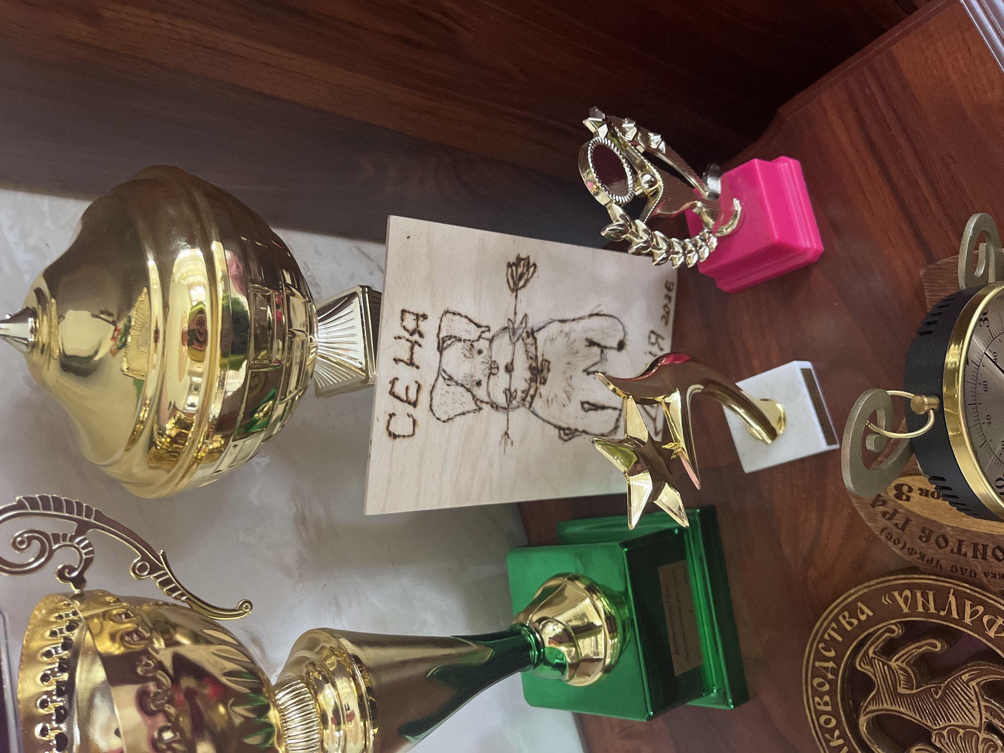 This image depicts a collection of trophies and commemorative items displayed on a wooden surface, likely a shelf or table. The items include several large, golden trophies, some with green bases, suggesting they are awards. A notable object is a wooden plaque with a burnt image of a dog holding an arrow, and text that appears to be "СЕНЯ" and a date, "18 2016". Smaller, golden awards with red and pink bases are also visible. In the foreground, circular wooden medallions with engraved designs and text, along with a part of what appears to be a clock or timer, are present. The background shows a lightly textured wall and a dark wooden surface, possibly furniture. The overall scene suggests a display of achievements or memorabilia. The location is identified as Vladimirovka, Russia.