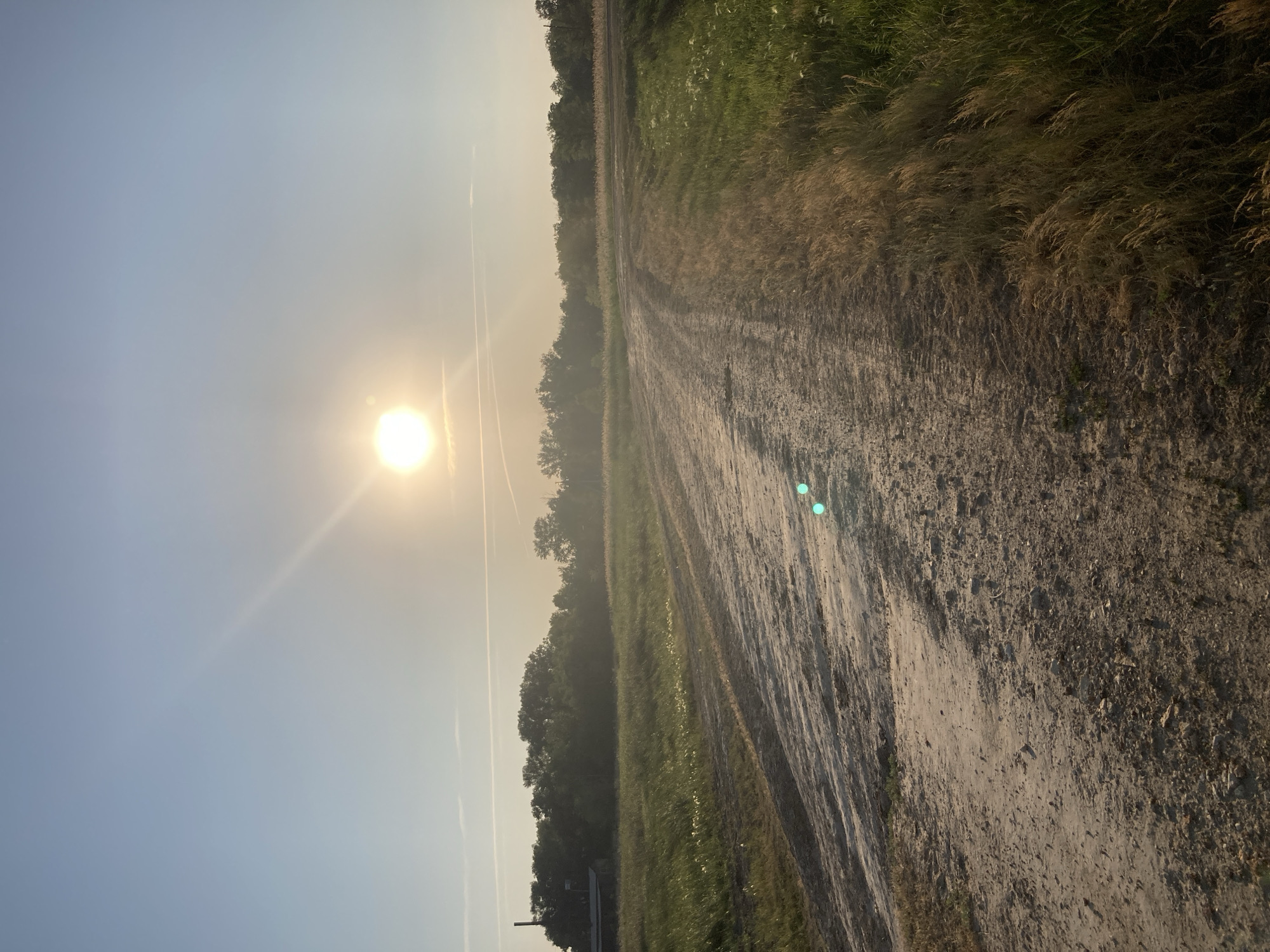 The image depicts an outdoor scene, likely a rural road, bathed in the warm light of a setting or rising sun. The foreground is dominated by a dirt road that curves from the lower left to the middle right of the frame. The road surface is rough, with visible tire tracks and scattered stones. To the left and right of the road are grassy fields. The field on the left appears taller and wilder, with some lighter colored flowering weeds scattered throughout. The field on the right is a mix of green grass and dry, straw-colored grasses. In the distance, a line of trees forms a dark green horizon. The sky above is a pale blue, with the bright sun positioned in the upper center, emitting strong rays. There are faint contrails visible in the sky, suggesting the presence of aircraft. On the far left, a portion of a building with a dark roof and a chimney is visible among the trees, indicating some human habitation or infrastructure nearby. There are no people or animals visible in the image. The overall impression is one of a peaceful, natural landscape at either dawn or dusk.