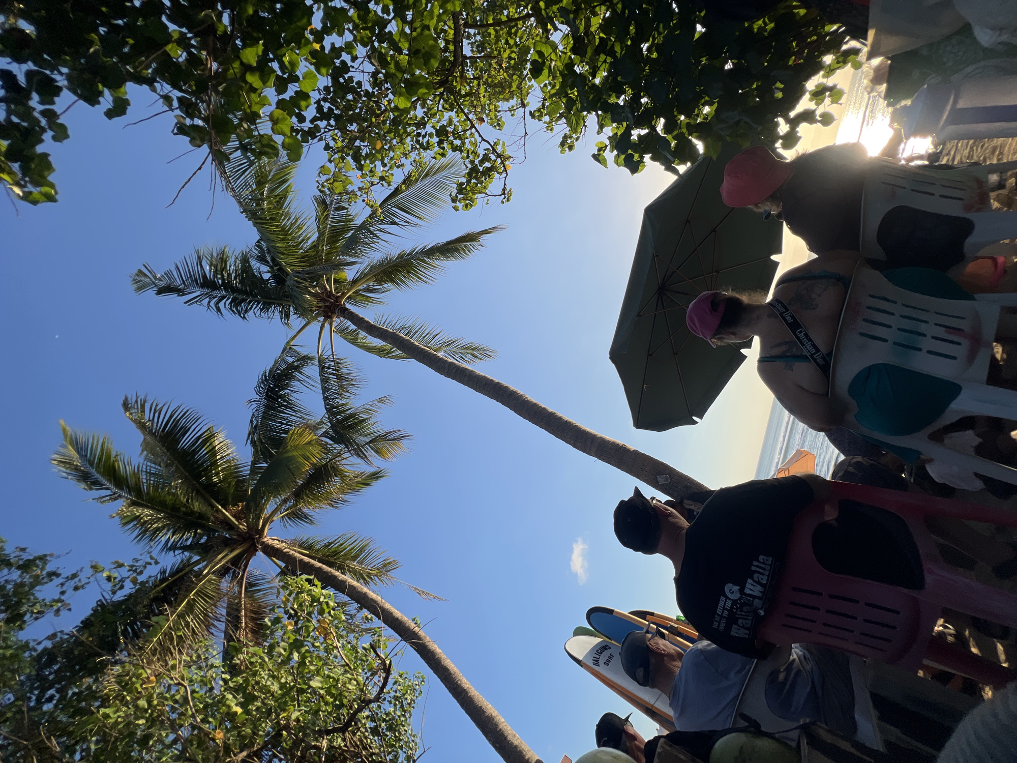 In Kuta, Indonesia, two palm trees frame a clear blue sky, with their fronds casting dappled shadows on the sandy ground. A group of people are seated in chairs, facing the ocean. Behind them, surfboards are propped up, suggesting a beach known for surfing. One person wears a t-shirt with the text "YOU'RE EITHER COMING TO THE WALLA WALLA" and an image. Another person sports a teal-colored top and a pink cap. An open umbrella provides shade over some of the individuals. The sun is low on the horizon, casting a warm glow over the water, indicating it is likely late afternoon or early evening. The scene conveys a relaxed atmosphere, with people enjoying the beach and the ocean view.