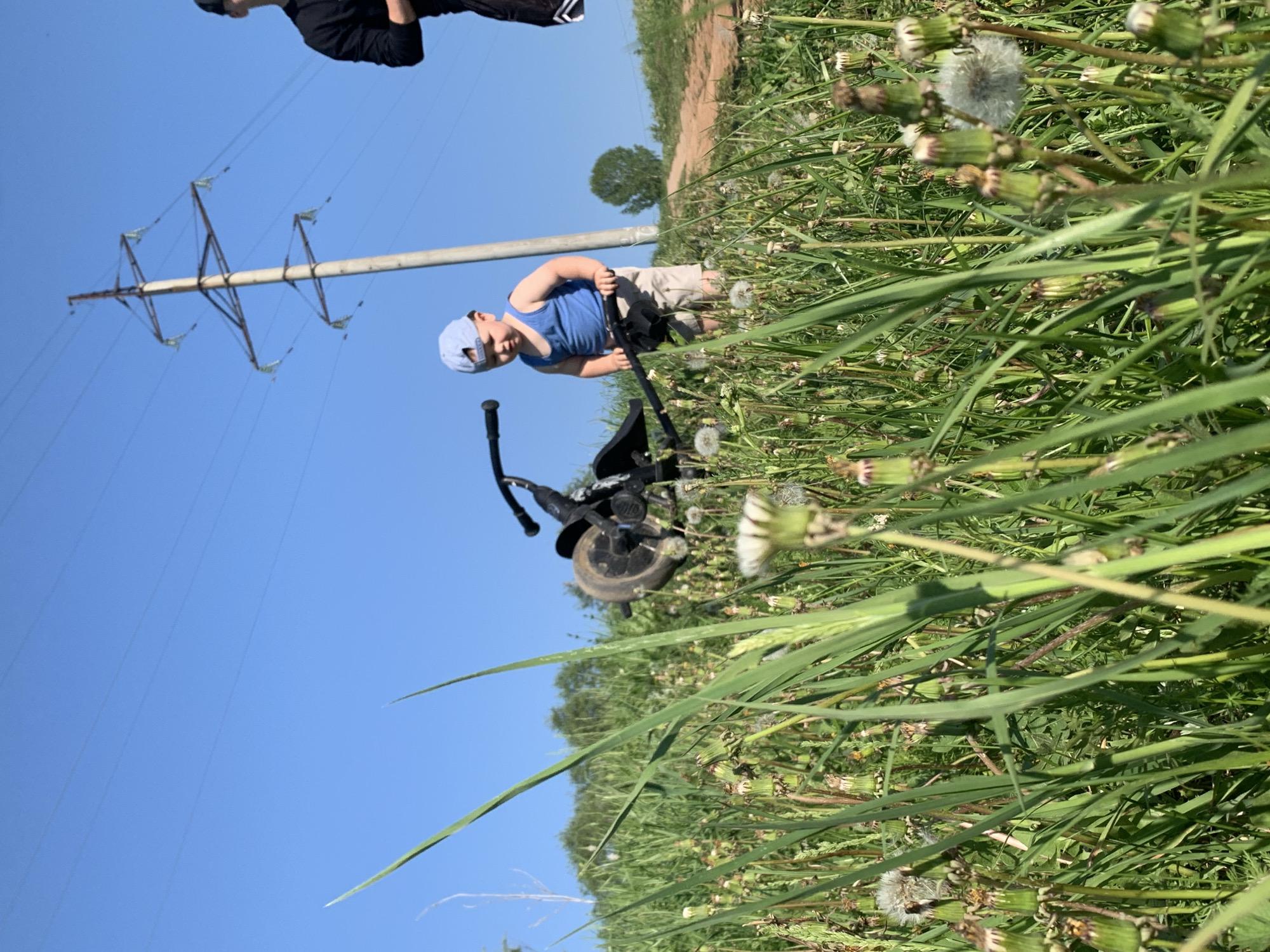 A sunny outdoor scene shows a child with a blue baseball cap and blue tank top, standing beside a black tricycle in a field of tall grass and dandelions. The scene also includes a telephone pole and power lines against a clear blue sky. In the background, a dirt path and trees are visible. It is daytime. The location is in the vicinity of Фоки, Russia.
