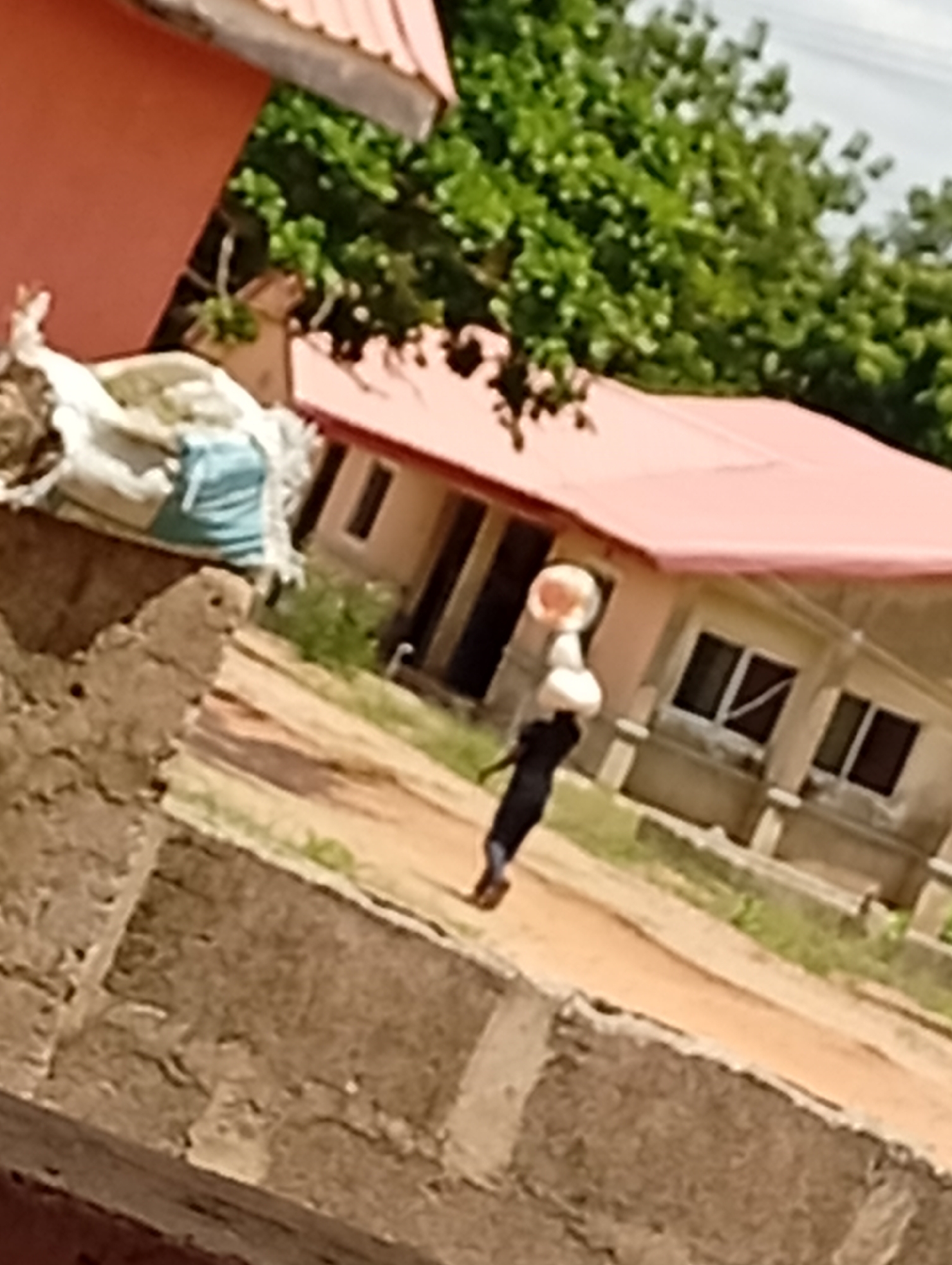 The image captures an outdoor scene, likely a rural or semi-urban environment, characterized by natural light during the daytime. The perspective is slightly tilted, and the overall image quality is blurry, lacking sharp details.
In the center-right, a person, possibly a child or young adult, walks along a dirt path. They are carrying a light-colored, possibly white, object or bundle on their head, a common method of transport in various cultures. The person wears dark clothing.
Behind the individual, a single-story building with a distinctive reddish-pink sloped roof is visible. The building has several windows with dark frames and concrete pillars or decorative elements below them. Green foliage from trees or bushes partially obscures the background, suggesting a natural setting. The ground around the building appears to be unpaved, possibly dirt or sparse grass.
In the immediate foreground, a rough-hewn, low wall or structure made of what appears to be concrete or brick runs horizontally across the lower part of the frame. To the far left, a large, light-colored sack or bundle, possibly containing refuse or goods, rests on what looks like an elevated surface or another part of a structure, with a blue accent visible on it.
No discernible text is visible anywhere in the image. The general impression is of a quiet, everyday scene in a warm climate, given the presence of lush greenery and the type of construction.