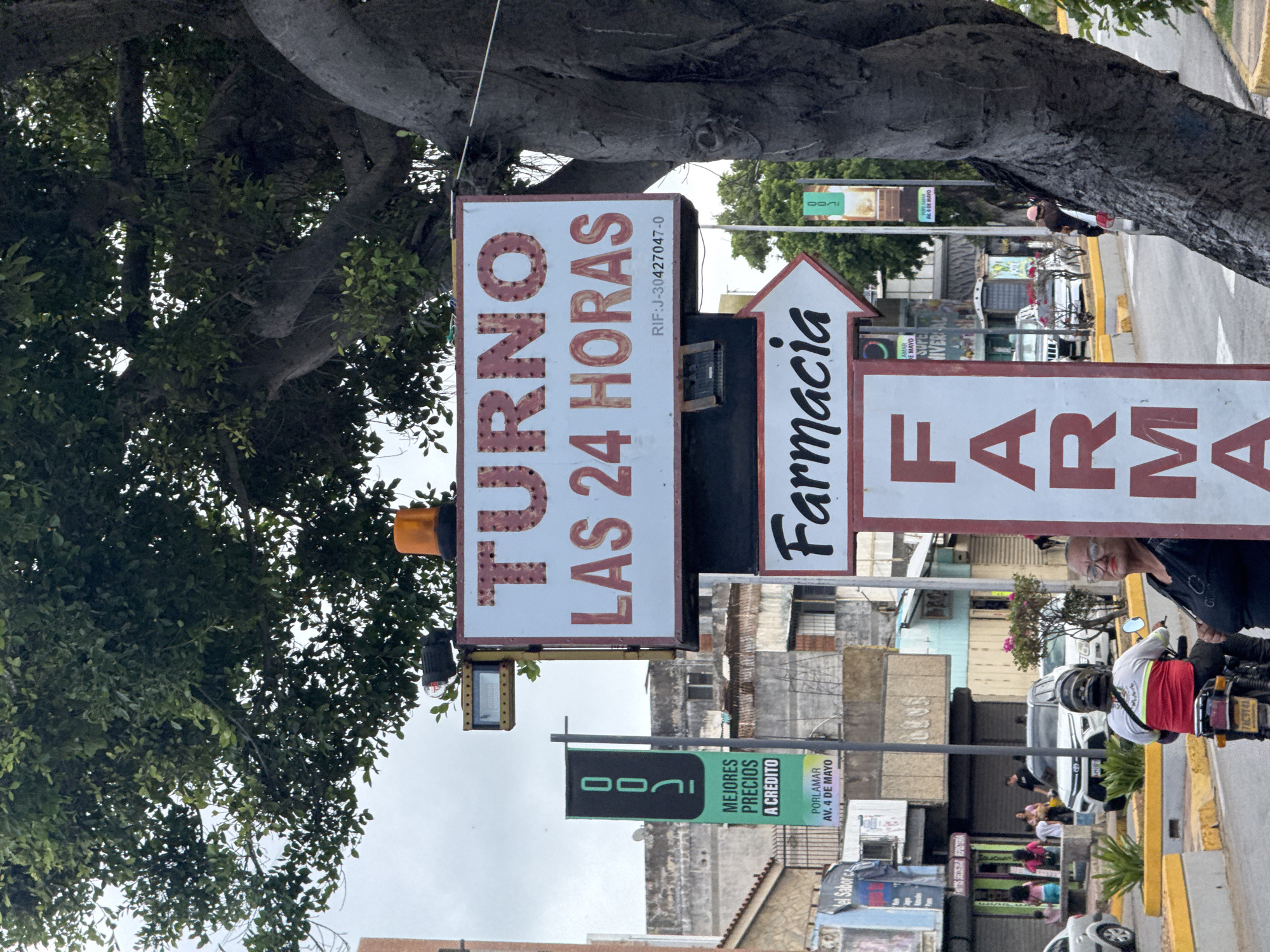 The image captures a street scene in Porlamar, Venezuela, dominated by signage and urban elements. In the foreground, a large tree trunk with gnarled branches is visible on the right. A woman with glasses and red lipstick is positioned to the right of the frame, looking towards the left. To her left, a person on a motorcycle, wearing a helmet and a red and white shirt, is facing away from the camera and is also on the left side of the frame.
Prominently displayed are several signs. A large white sign with red lettering reads "TURNO LAS 24 HORAS" (Turn 24 Hours). Below this, another sign with a white background and red border has an arrow pointing to the right and the word "Farmacia" (Pharmacy) in black cursive. A vertical banner on the left is dark green with white text that says "MEJORES PRECIOS A CREDITO" (Better Prices on Credit) and "PORLAMAR AV. 4 DE MAYO" (Porlamar Av. 4th of May). Another similar vertical banner is visible further in the background.
The background consists of multi-story buildings, some appearing weathered, with visible windows and balconies. The street in the middle ground shows several cars, including a white SUV and other vehicles, as well as a motorcycle. The environment appears to be a typical urban street with some greenery, including potted plants along the roadside. The sky is overcast.