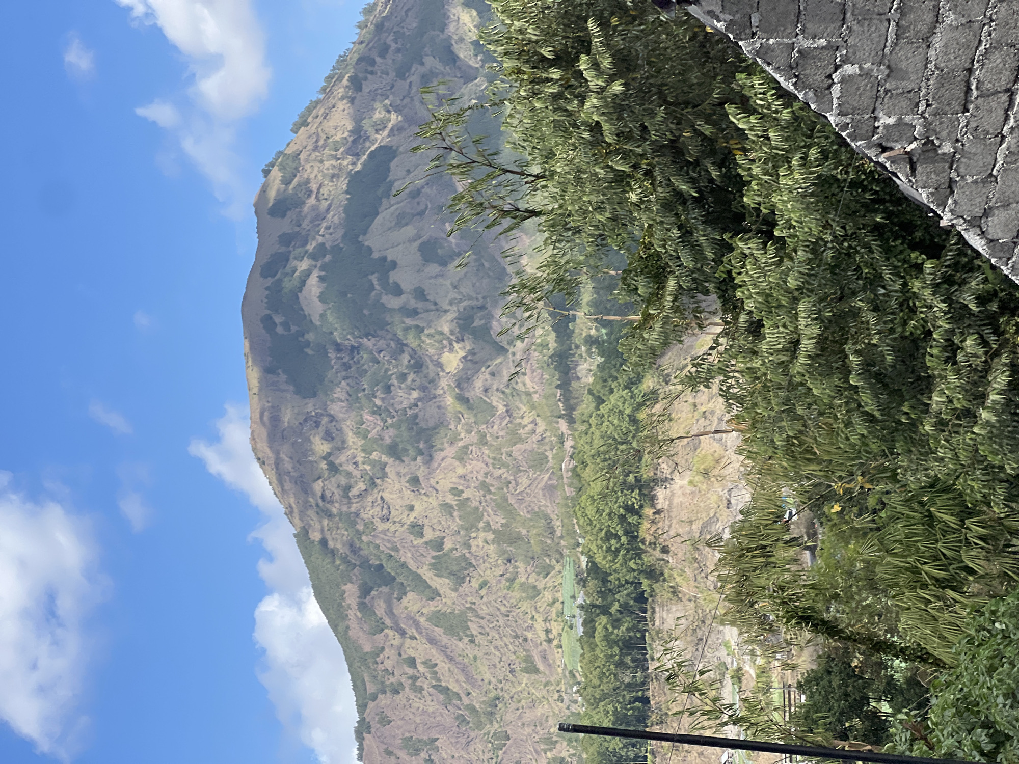This is an eye-level, outdoor, medium shot of a mountainous landscape in Kintamani, Indonesia. The foreground features a gray, cinder block wall on the right and dense green foliage, including bamboo, in the center and left. A dark, thin pole is visible on the far left. In the midground, a dense line of trees separates the foreground from a steep, barren mountainside. Small patches of green, possibly agricultural fields, are visible nestled within the mountain's lower slopes. The background is dominated by a large, imposing mountain with a rounded peak, its slopes covered in sparse vegetation, rocks, and soil. The sky above is a vibrant blue, dotted with scattered white clouds. No people are visible in the frame.