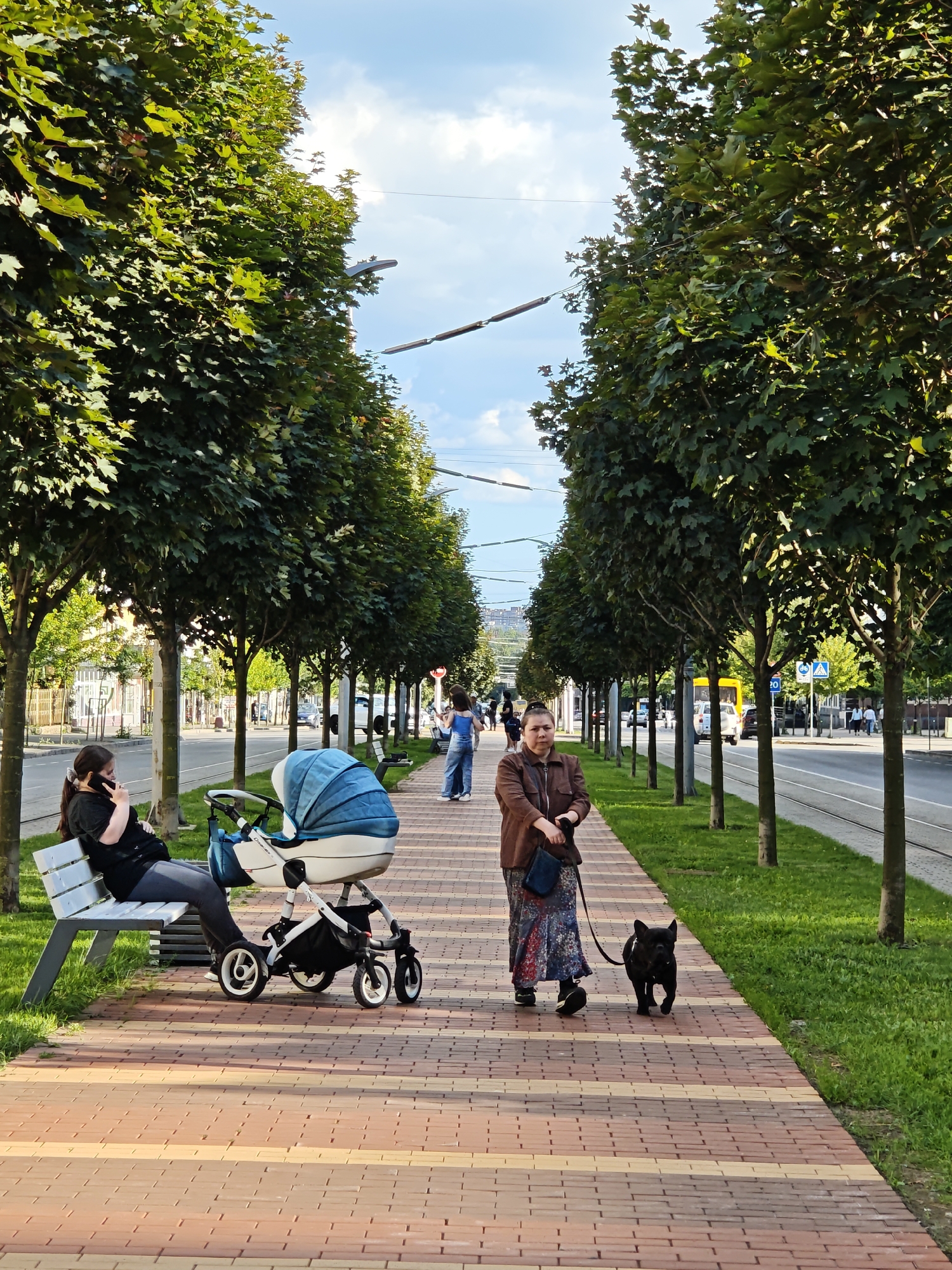 This is a full-shot, eye-level, vertical-format outdoor photograph taken on a sunny day in Vinnytsia, Ukraine. The scene depicts a tree-lined pedestrian walkway next to a street with a tram line.
On the left side of the walkway, a woman with dark hair pulled back in a ponytail sits on a white bench, talking on her cell phone. Next to her is a light-colored baby stroller with a blue canopy.
Further down the walkway, a woman wearing a brown jacket and a long, patterned skirt walks with a black French Bulldog on a leash. The dog is trotting ahead of her.
In the background, beyond the trees and across the street, there are buildings and other pedestrians. The sky is blue with some white clouds. The time of day appears to be late afternoon or early evening, given the long shadows cast by the trees. The overall mood is peaceful and ordinary, capturing a moment of daily life in the city.
