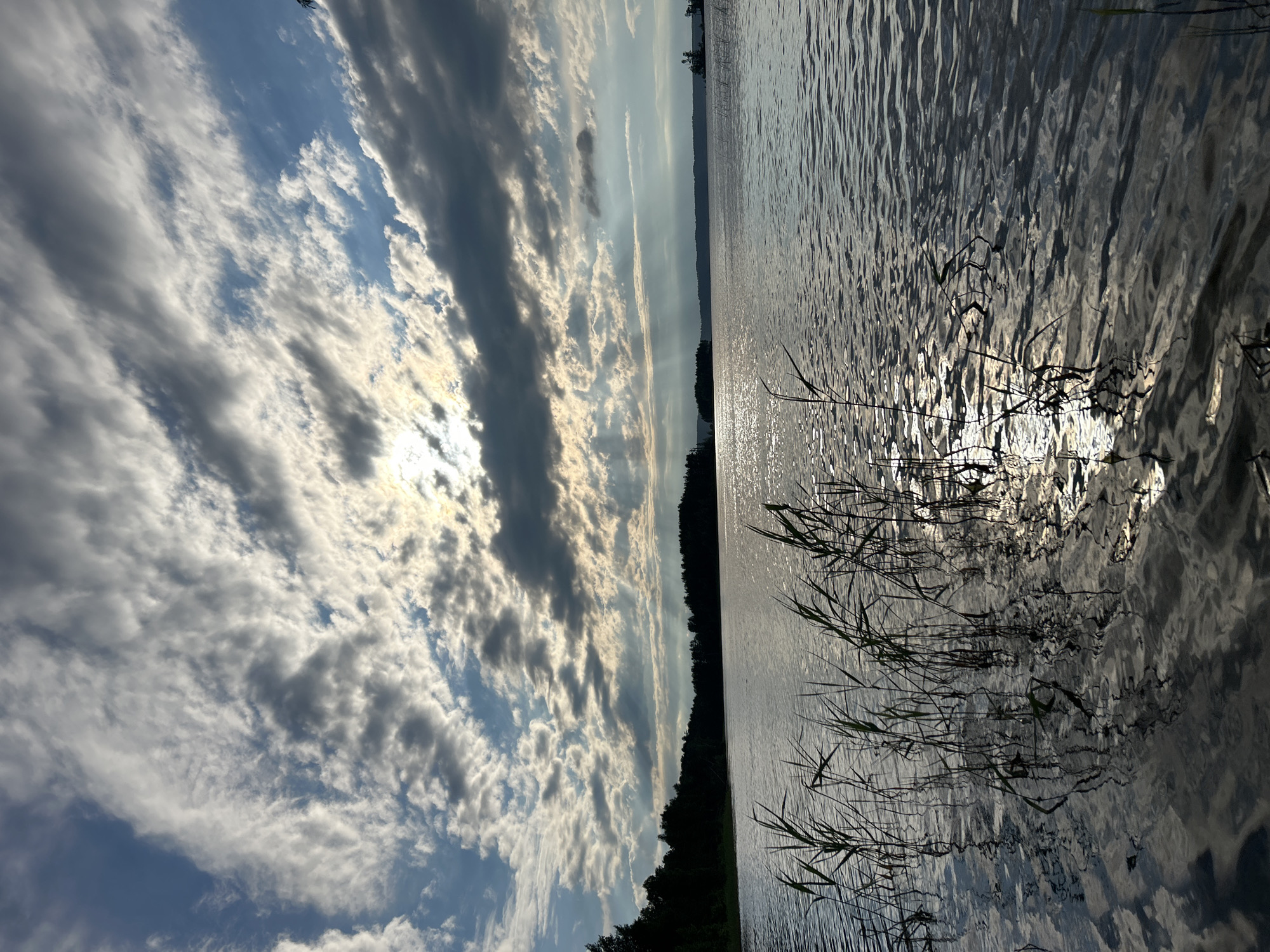 A tranquil scene unfolds at the lake in Vekoshinka, Russia. The sky is a dramatic canvas of white and gray clouds, with rays of sunlight breaking through, illuminating the water below. The water surface is rippled, reflecting the sky and the dark silhouettes of trees lining the distant shore. Reeds stand tall in the foreground, their slender forms casting dark shadows on the water. The overall mood is serene and peaceful, capturing the quiet beauty of nature.