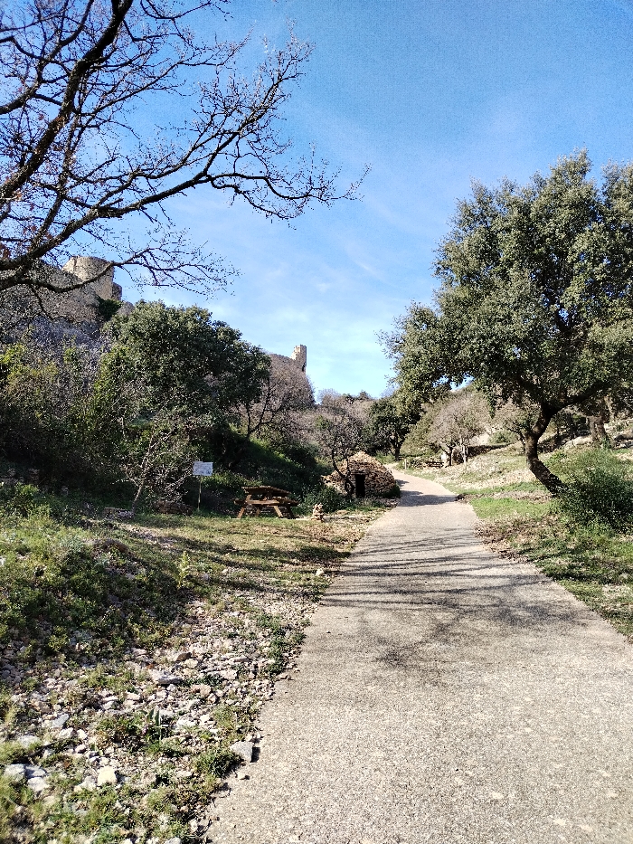 This image captures a sunlit outdoor scene, likely a historical or natural park area, featuring a paved pathway, abundant vegetation, and ancient stone ruins in the background.
The central element is a light gray, possibly asphalt or concrete, pathway that extends from the foreground into the mid-distance, curving slightly to the right. Numerous shadows from unseen trees stretch across the path, indicating a sunny day.
On the left side of the path, the ground slopes upwards. It is covered with sparse green grass and numerous small rocks and stones. Further up the slope, there are various green bushes and trees. A large, bare-branched tree dominates the upper left corner, its intricate network of dark branches silhouetted against the bright blue sky. Nestled on this grassy slope, to the left of the path, a wooden picnic table with benches is visible. Behind the picnic table, a small white sign on a post stands amongst the greenery, though its text is illegible. Further back and slightly to the right of the picnic table, there is a small, low, rounded structure made of dry stacked stones, resembling a traditional shepherd's hut or *borie*, with a small arched opening.
On the right side of the path, more trees with lush green foliage stand, suggesting they might be evergreen species like holm oaks or olive trees. The ground here also appears green and slightly sloped.
In the mid-ground and background, perched atop a rocky, tree-covered hill, are the remnants of a stone castle or fortified structure. Portions of a defensive wall and a prominent rectangular stone tower are clearly visible against the sky. The ruins suggest a long history for the location.
The sky is a vibrant, clear blue with only very faint, wispy clouds visible in places. The strong shadows cast by the trees on the path and the bright lighting suggest it is either late morning or early afternoon. The overall atmosphere is one of peaceful natural beauty intertwined with historical significance. No discernible text is legible within the image.