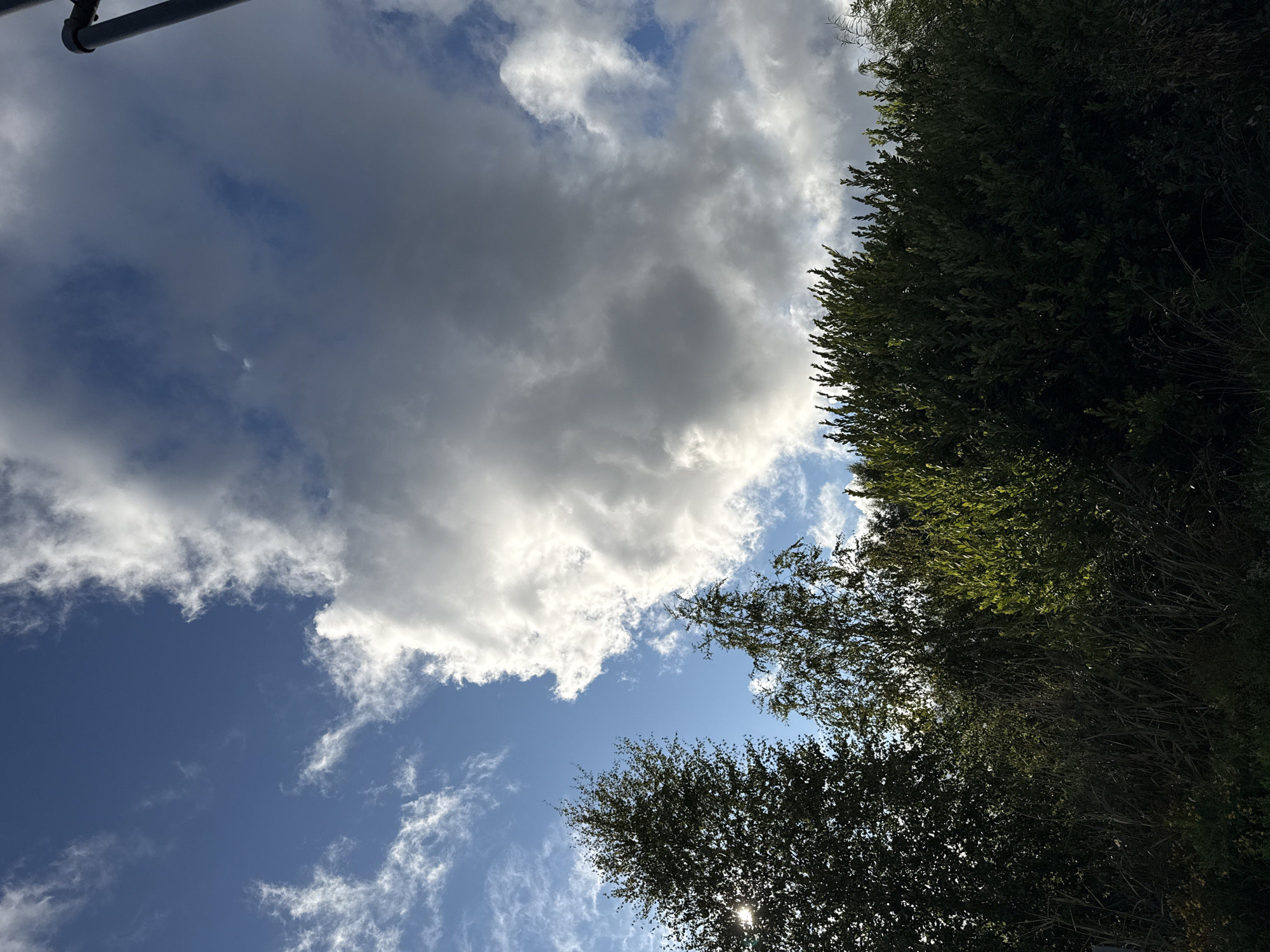 The image shows a view of the sky with clouds and trees in the foreground. The sky is blue with scattered white and dark gray clouds. The sun is visible through the leaves of a tree on the left side of the image, casting a ray of light. The trees in the foreground are lush and green, with some dry grass and vegetation at the bottom. There is also a dark, vertical object on the right side of the image which appears to be a lamp post or pole. The scene suggests an outdoor environment, possibly a park or a natural area within a city. The lighting and clouds indicate it may be late afternoon or early evening. There are no people or animals visible in the image. The scene does not contain any specific landmarks or features that would definitively place it in Tallinn, Estonia.