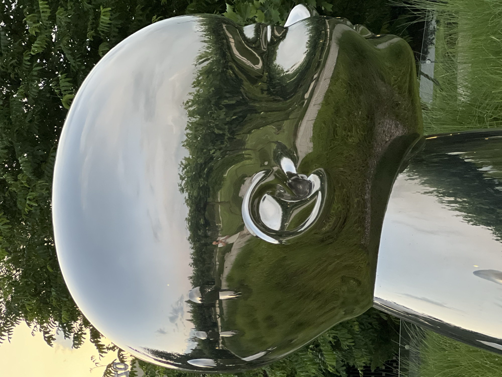 This is a close-up, angled photograph of a large, polished metal sculpture that appears to be a human head. The sculpture's surface is highly reflective, mirroring its surroundings. In the reflection, we see a landscape with green trees, grass, a path, and a light sky, suggesting it is outdoors. The time of day appears to be late afternoon or early evening, given the warm tones in the sky and the soft lighting. A person, seemingly a woman in a white dress, is visible in the reflection walking on the path. The sculpture is situated amidst lush green foliage and tall, thin grasses. The overall mood is serene and contemplative, with the sculpture's smooth, mirrored surface creating an abstract and almost otherworldly quality. There is no visible text in the image.