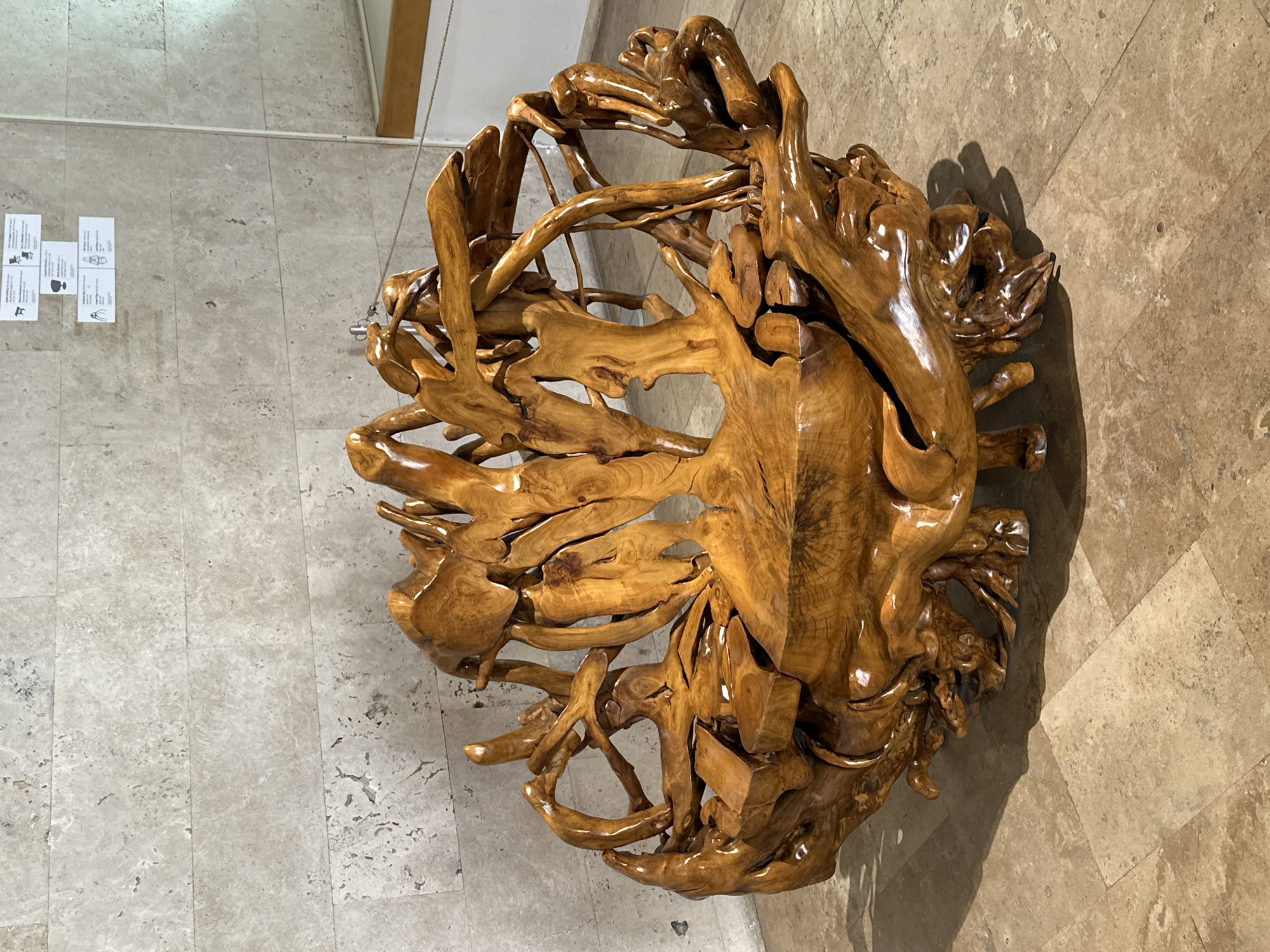 The image displays a large, intricately carved wooden sculpture or piece of furniture, likely a table, made from a natural tree root or burl. The wood exhibits a rich, warm brown hue with visible grain patterns and a highly polished, glossy finish that reflects light. The sculpture's form is organic and complex, featuring numerous intertwined branches, roots, and flowing shapes that create a sense of natural dynamism and movement. It casts distinct shadows on the floor, indicating directional lighting.
The sculpture rests on a tiled floor composed of two different types of stone or ceramic tiles. The left side features lighter, grayish-beige rectangular tiles arranged in a linear pattern, while the right side has darker, mottled beige-brown square tiles, suggesting a transition in flooring. In the background, a light-colored wall is visible, on which several small white cards are affixed. These cards appear to be information labels or descriptive tags, each containing small images – possibly line drawings or silhouettes of other furniture pieces or design objects, such as a chair or vase – and unreadable text due to the distance and resolution. A thin metallic chain or wire descends from above, positioned near the sculpture, but its purpose or connection is unclear.
The scene depicts an indoor setting, likely a gallery, showroom, or a well-appointed space for displaying art or unique furnishings. No human subjects or explicit activities are present; the image is a static portrayal of the sculptural piece. The overall impression is one of fine craftsmanship and natural artistry, showcasing the beauty of wood.