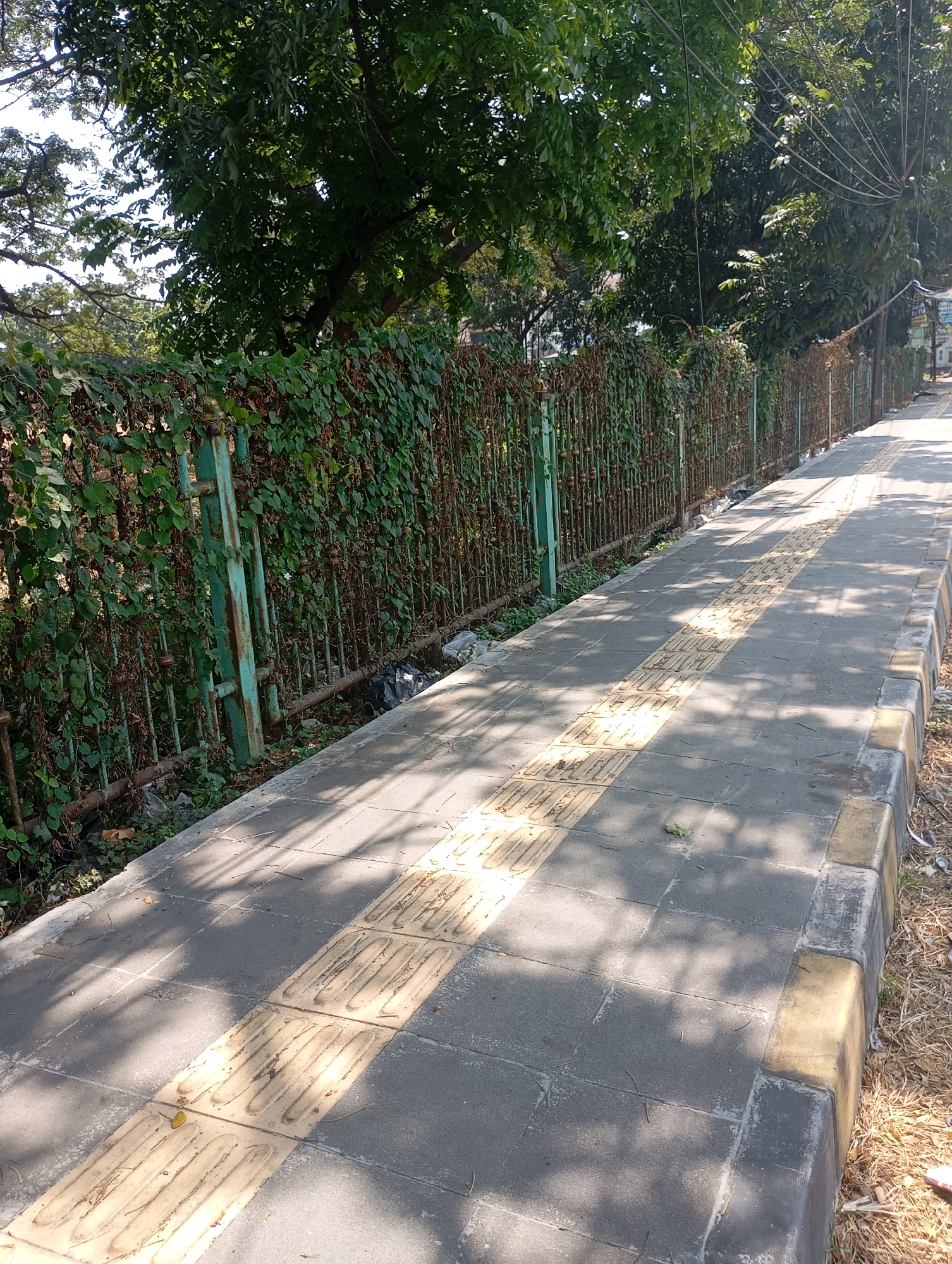 A low-angle, eye-level shot captures a paved sidewalk in Babelan, Indonesia, bathed in dappled sunlight. The sidewalk, made of grey square tiles, features a tactile paving strip of yellow rectangular tiles with raised ridges running down its center. A concrete curb, painted with yellow and grey stripes, borders the sidewalk on the right. Beyond the curb, dry grass and debris are visible. To the left of the sidewalk, a weathered green metal fence is heavily overgrown with green ivy and dried brown vines, obscuring the view behind it. A black garbage bag and other litter are scattered along the base of the fence. Tall trees with lush green foliage arch over the scene from the left, casting shadows on the sidewalk. In the distance, the fence and trees continue to line the path. The overall impression is one of an urban pathway adjacent to a verdant, slightly neglected boundary.