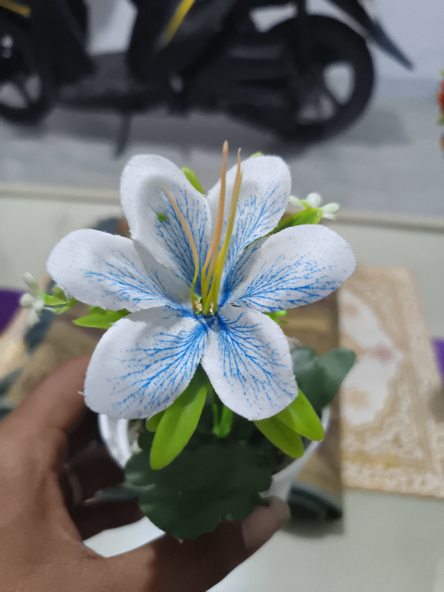An artificial white lily with blue veins and yellow stamens is held in a person's hand. The flower is in a small white pot and appears to be part of a decorative arrangement. In the background, a blurry image of a motorcycle is visible, along with a patterned cloth and a table. The scene is indoors, likely in a residential setting in Pangkalpinang, Indonesia.