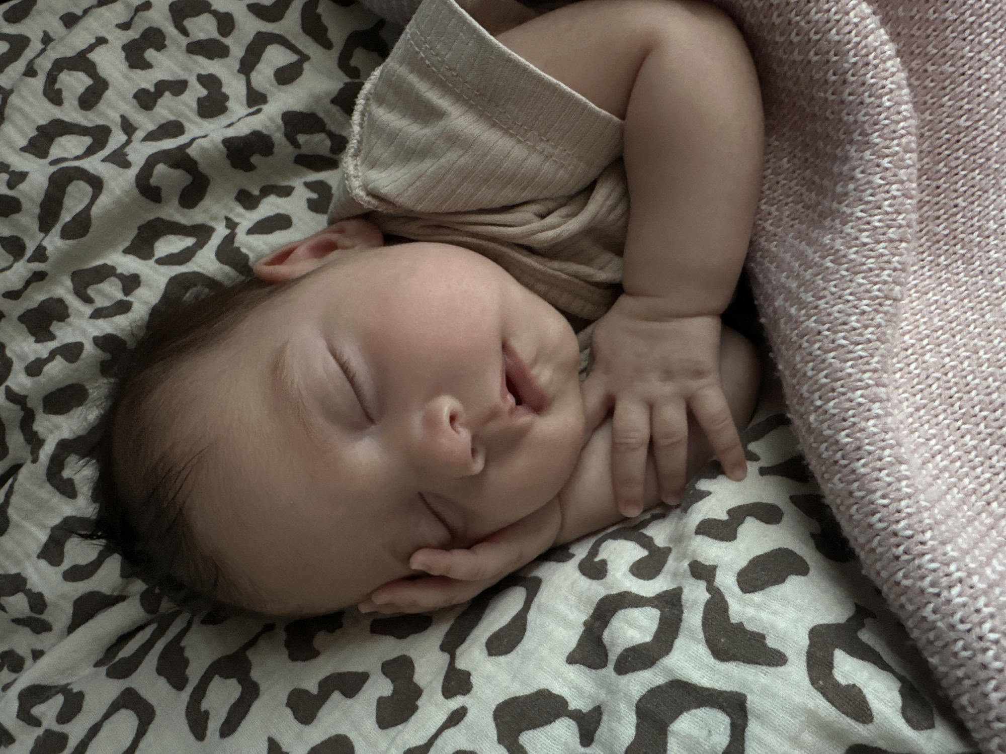 The image shows a close-up of a newborn baby sleeping on a pink knitted blanket and a beige blanket with a leopard print. The baby is lying on its side with its head resting on its hand. The baby is wearing a beige ribbed t-shirt. The background is out of focus, but appears to be a soft, comfortable surface. There is no information about the location in Sochi, Russia.