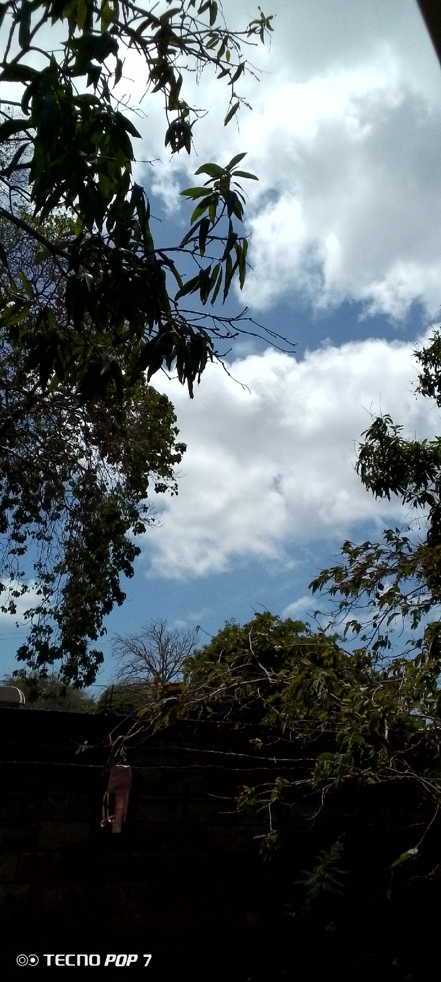 The image shows a view of the sky with scattered white clouds and patches of blue, framed by the branches and leaves of trees. The lower portion of the image is darker, revealing a wall and vegetation. A plastic bag is hanging from a branch. The photo was taken with a TECNO POP 7 mobile phone. The location is presumably Altagracia, Venezuela, based on the prompt's instructions.