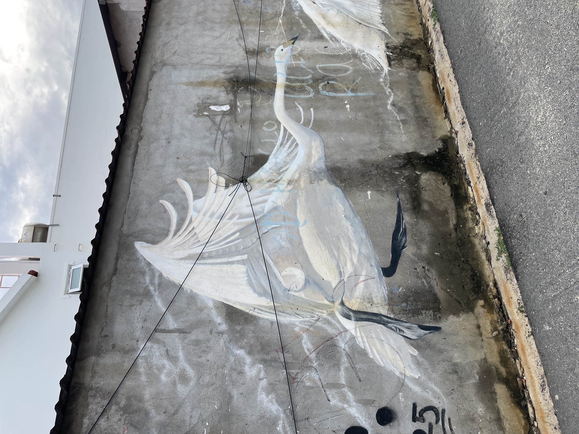 A mural of white egrets is painted on a weathered, gray concrete wall in Phu Thuy Ward, Vietnam. The painting is partially obstructed by dark electrical wires running vertically down the wall. Graffiti is scrawled below the mural, and a sidewalk and road are visible to the right. A building with a white exterior and dark roof borders the wall on the left.