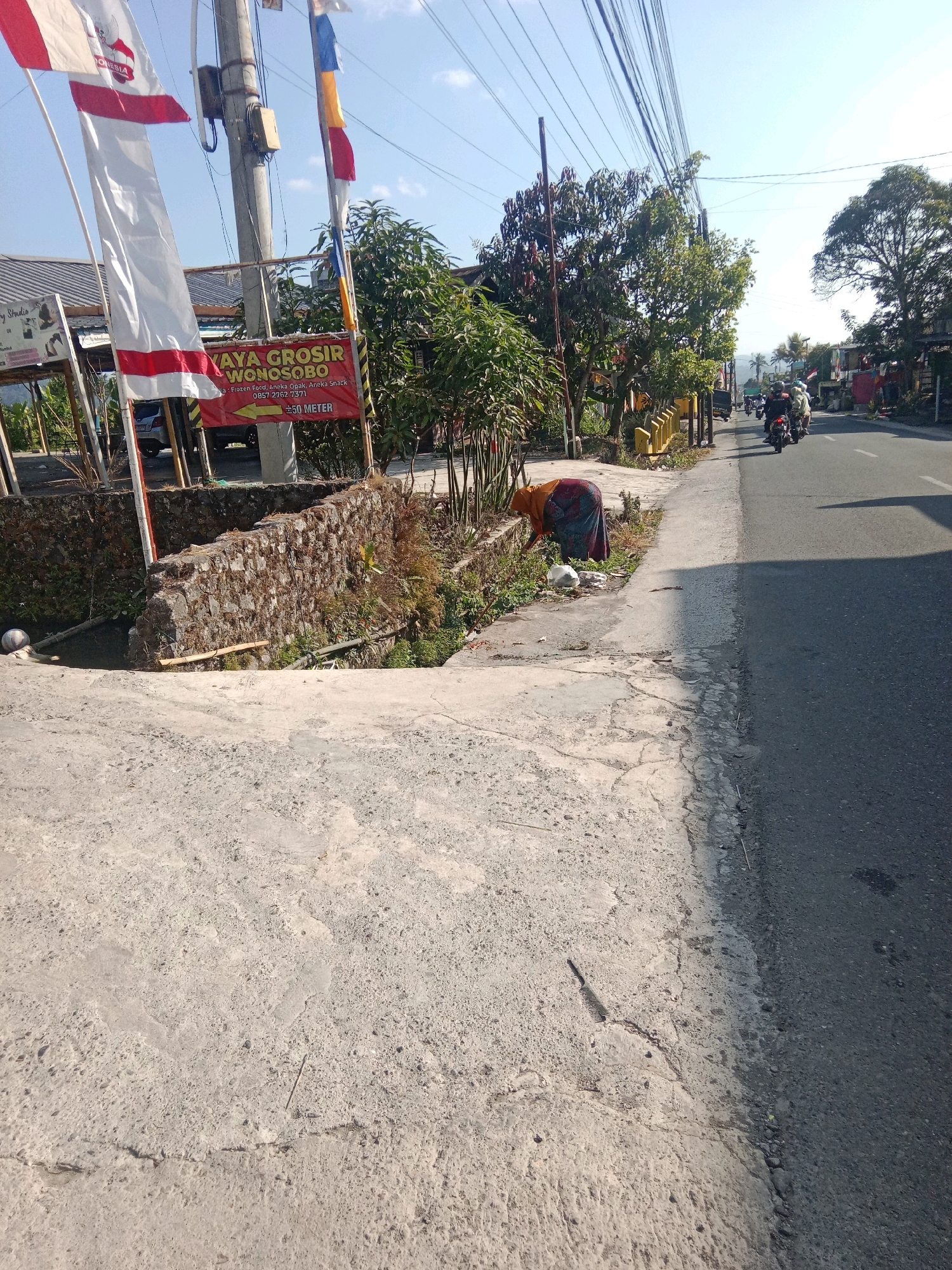 In the city of Kertek, Indonesia, a person wearing a headscarf and a long skirt is kneeling on the ground near a roadside ditch. They appear to be collecting or tending to vegetation. To their right, a street runs alongside the ditch, with several motorcycles passing by. Overhead, a tangle of electrical wires stretches across the sky, and on the left side of the image, a sign displays "JAYA GROSIR WONOSOBO" along with a phone number and "50 METER". A few flags are also visible, one with the Indonesian flag colors and another with "INDONESIA" written on it. The environment is sunny with a clear blue sky.