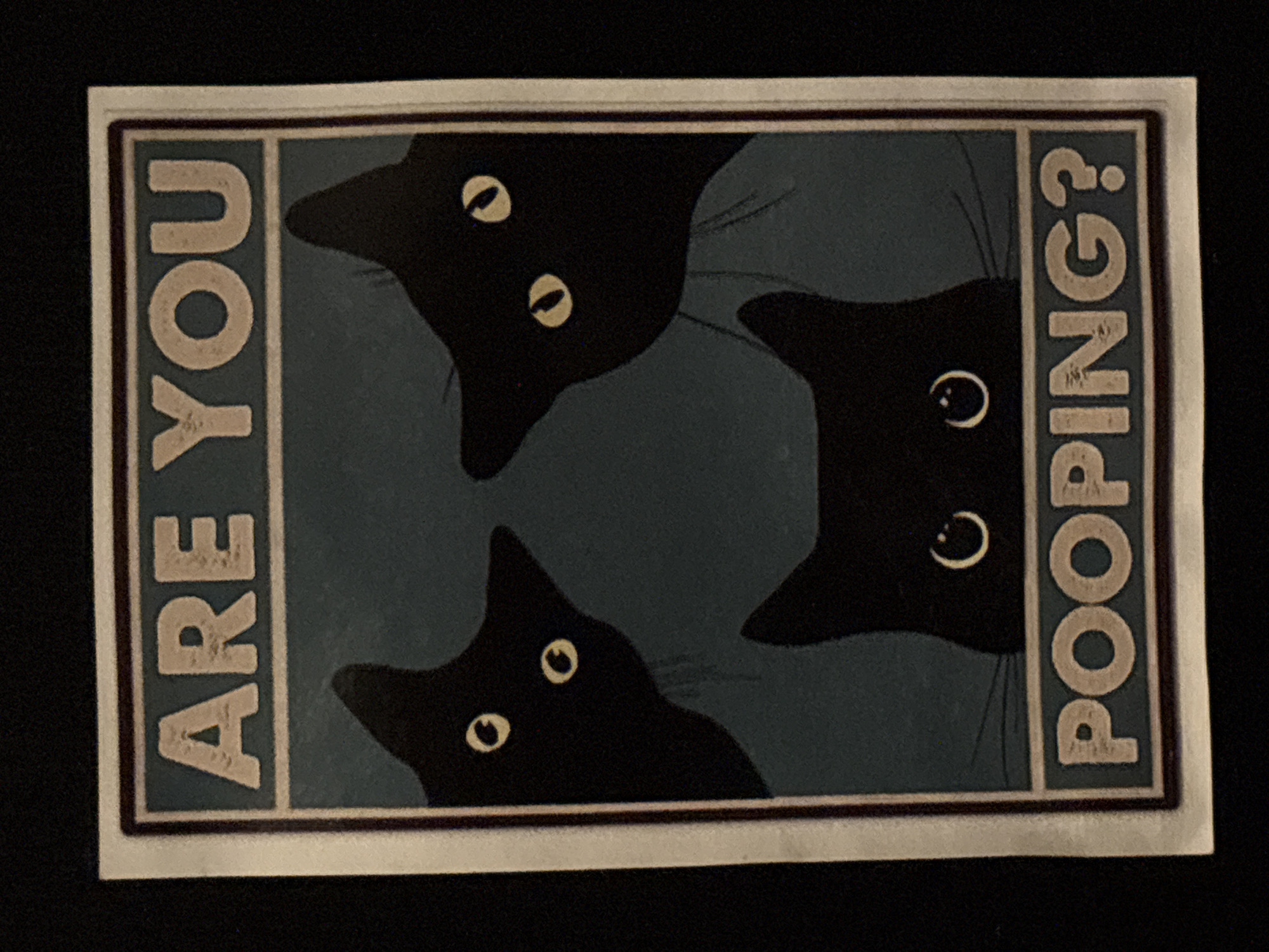 The image is a sticker with the words "ARE YOU POOPING?" arranged vertically on either side of three black cats whose heads are peeking into the scene. The background is a solid dark blue. There are no identifiable details indicating a location in Hong Kong, China, or any other specific city or environment.