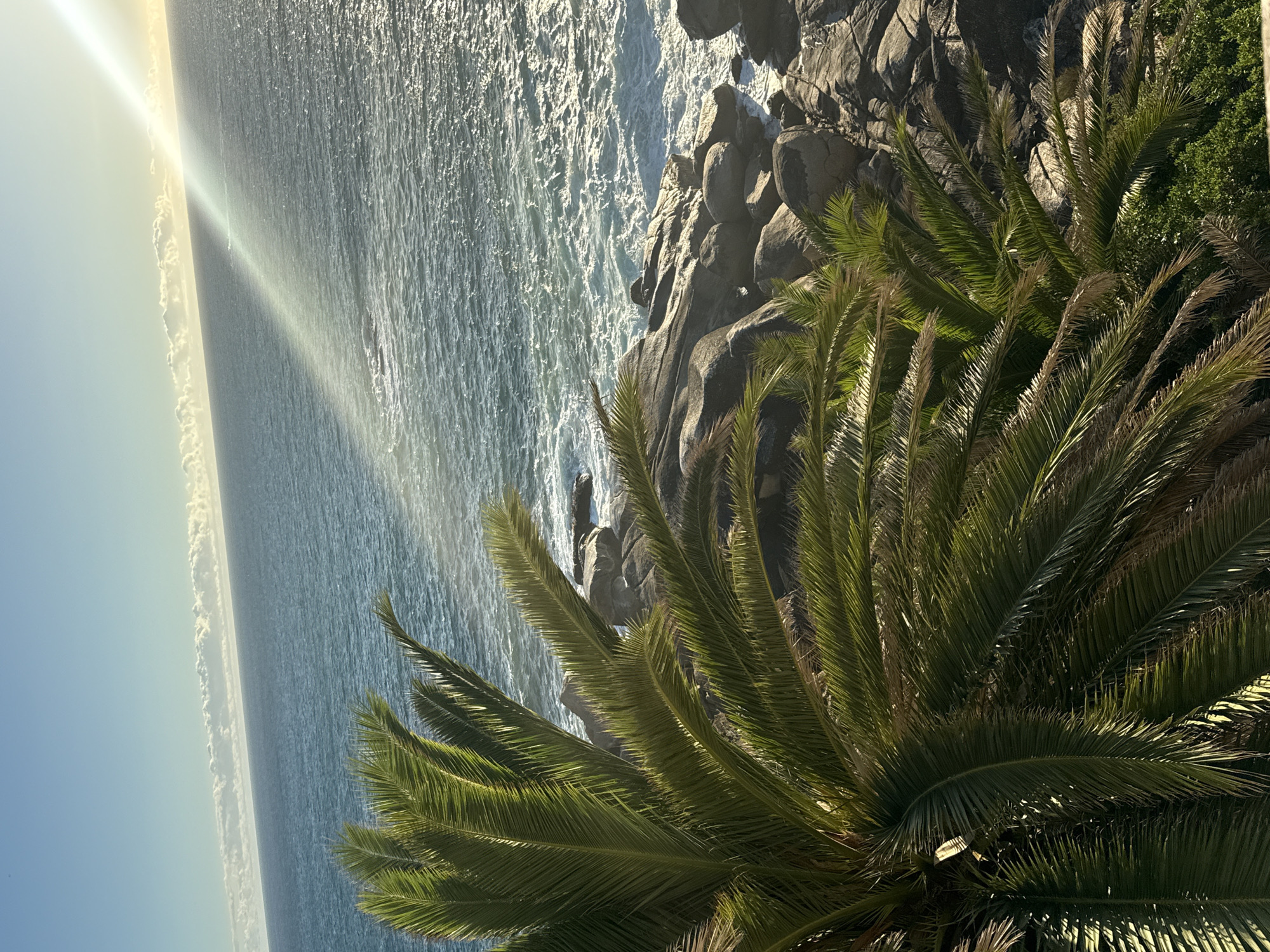 The image depicts a coastal scene, likely taken from an elevated position. In the foreground is a palm tree with lush green fronds, partially obscuring the view. To the left of the palm tree is the ocean, with a distinct sunbeam visible. The sky is blue with clouds near the sunbeam. The shoreline is rocky with waves crashing. The photograph was likely taken in Cape Town, South Africa, given the combination of palm trees, rocky coastline, and ocean.