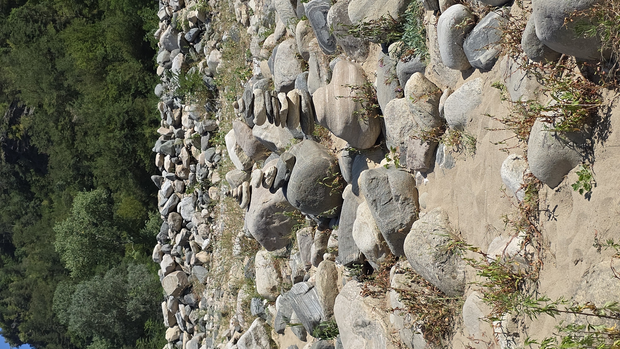 The image depicts a rocky riverbed with stacked stones, known as cairns, in Diadovtsi, Bulgaria. The foreground is a sandy area with scattered rocks of various sizes, some covered in dry vegetation. Several cairns are prominently displayed, each constructed by carefully balancing multiple stones. In the background, a dense forest covers a hillside, suggesting a natural, outdoor environment. The scene appears peaceful and untouched by human activity, except for the deliberate placement of the stones.