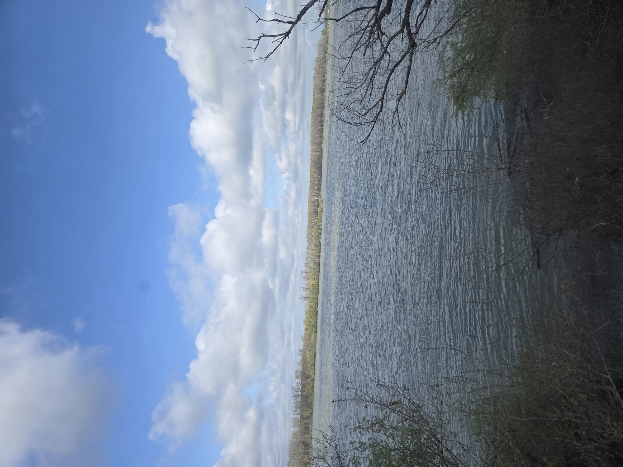 The image depicts a body of water, possibly the Danube River, adjacent to a shoreline with a dense line of trees. The sky is partly cloudy with blue patches. Branches from trees overhang the water on the right side of the image. The location is likely near Somovit, Bulgaria, given the prompt's context. No people are visible.