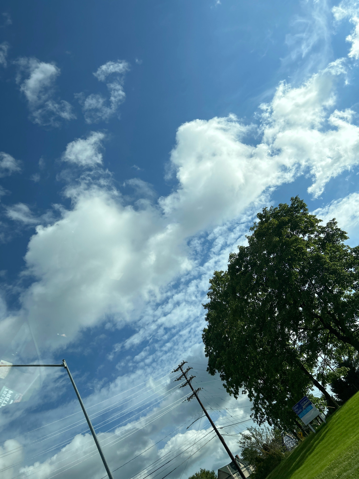 The image is a low-angle shot of a cloudy blue sky with a large, leafy green tree on the right side of the frame. In the foreground, a metal pole and utility lines stretch across the sky. A patch of green grass is visible on the lower right, and in the distance, a sign with blue and white text and a small building can be seen. The scene appears to be located in Collier Township, United States of America, based on the presence of the sign.