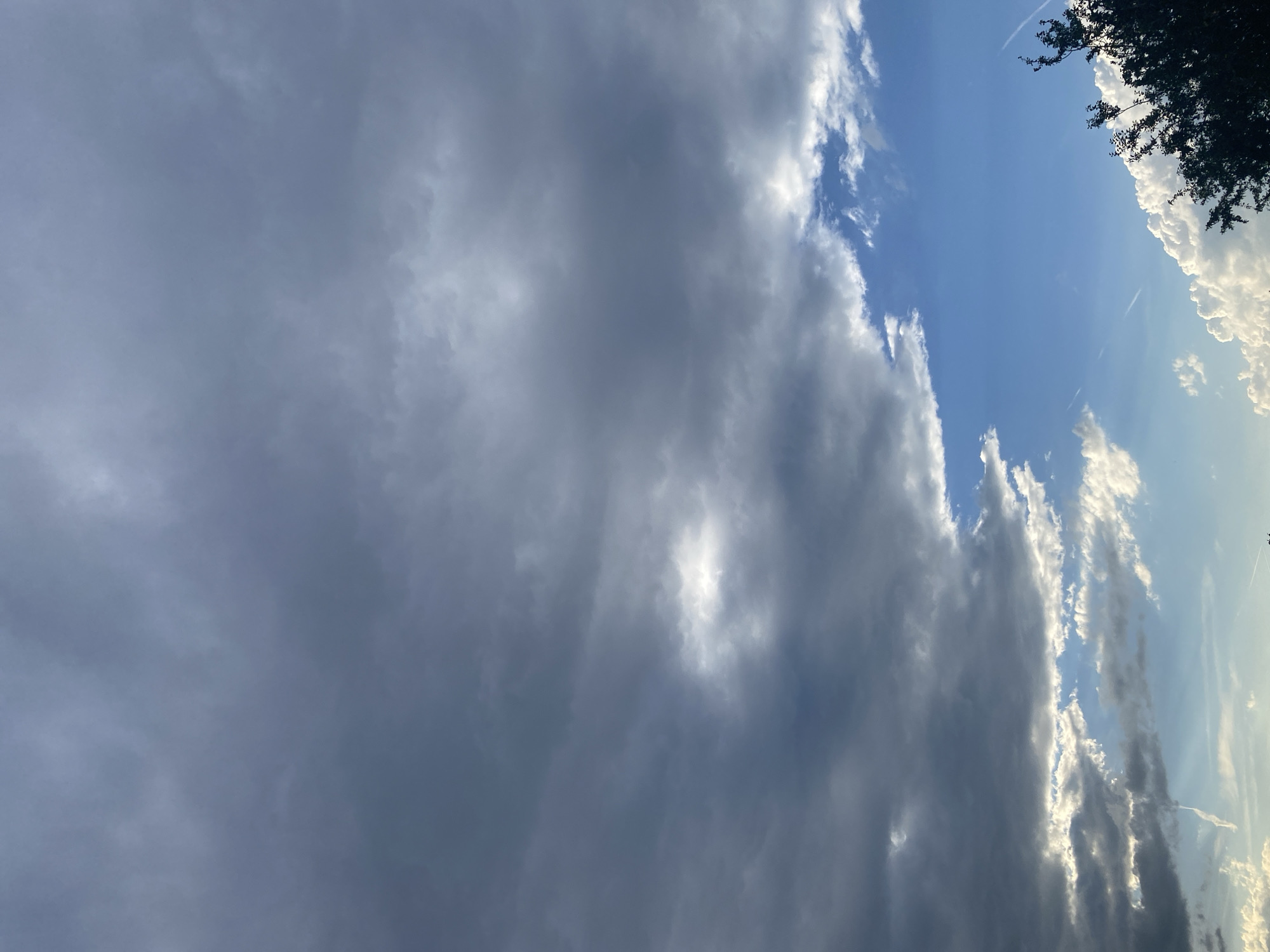 The image depicts a dramatic sky scene over Septemvri, Bulgaria, characterized by a mix of dark, heavy clouds and patches of bright blue sky. The clouds are layered and textured, with some areas appearing almost black and others lighter, suggesting impending or receding weather. A bright, illuminated patch of sky is visible through a break in the clouds, creating a stark contrast. In the lower right portion of the frame, the silhouette of a tree with dark foliage is visible against the sky. The overall impression is one of dynamic atmospheric conditions.