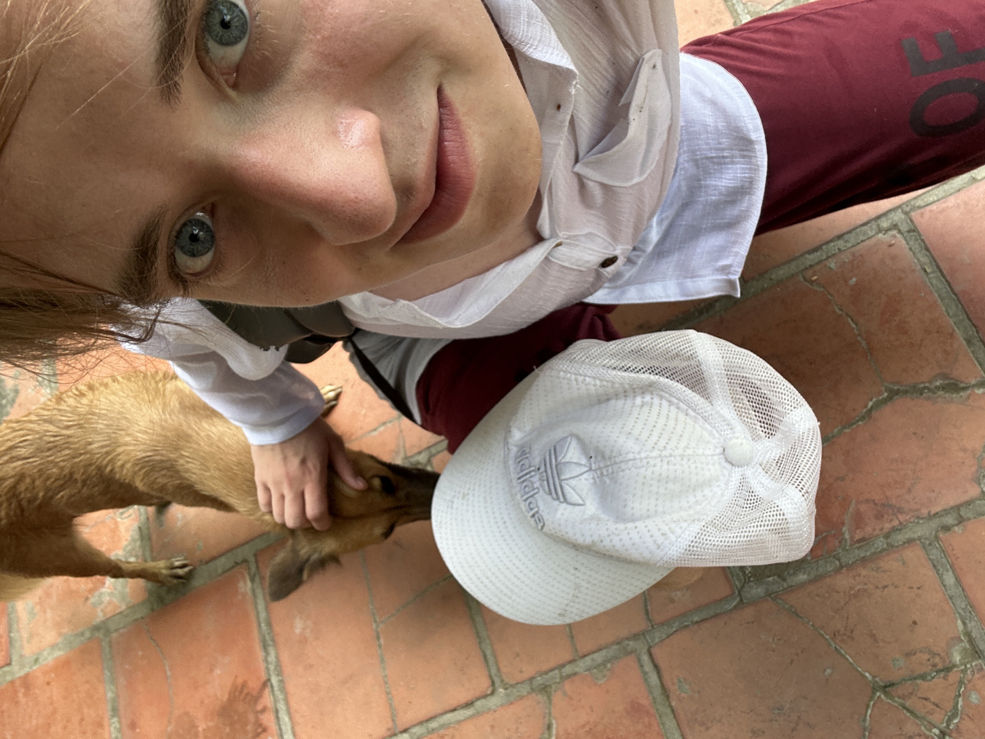A person is petting a tan dog on a terracotta tiled patio. The person is wearing a white collared shirt and maroon pants. A white mesh baseball cap with the Adidas logo is on the ground next to the person. The scene appears to be outdoors.