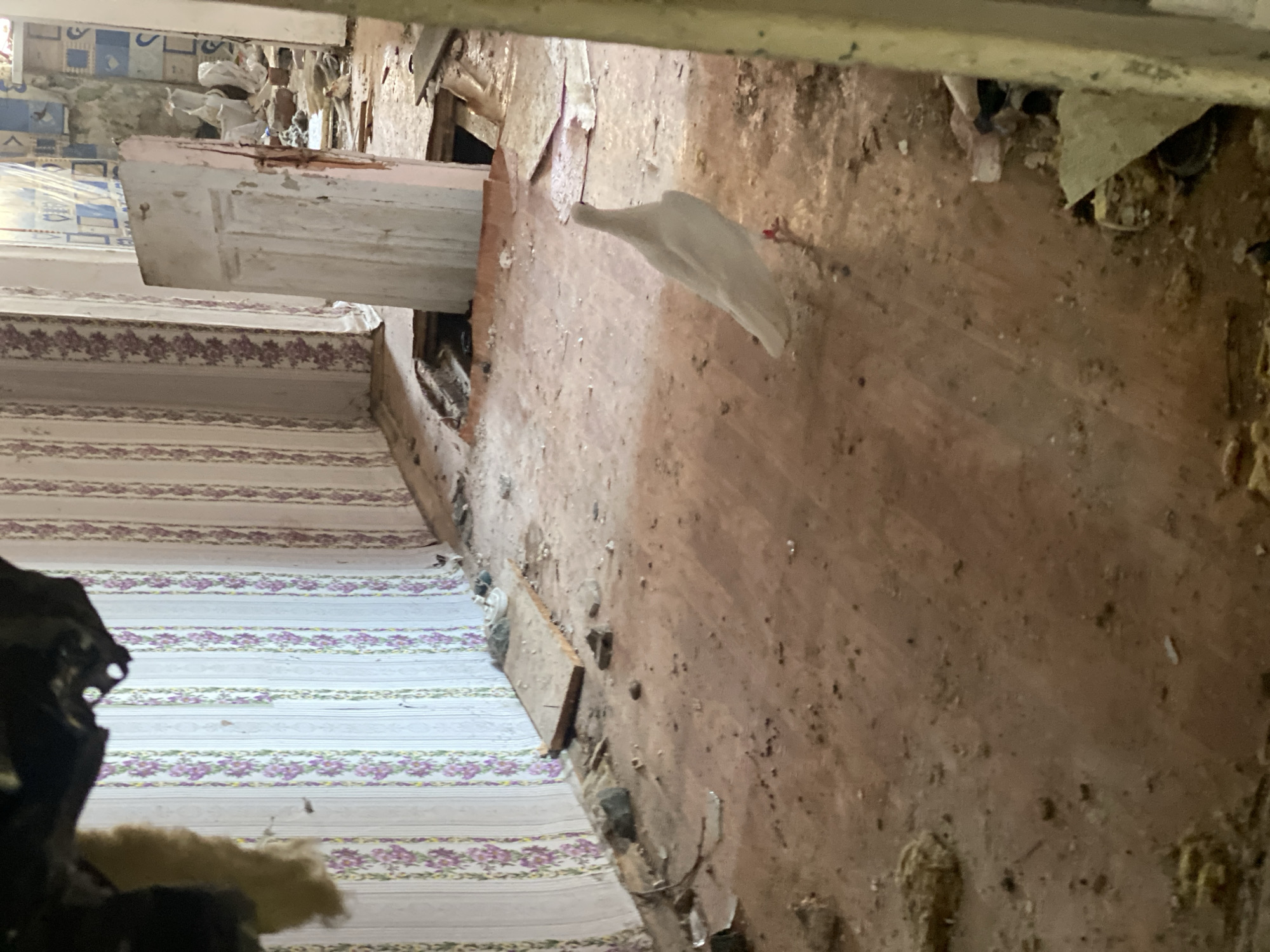 Location: Chaikovsky, Russia.
The image depicts a dilapidated interior. A set of stairs covered in patterned wallpaper is visible. An open door frame is visible, with peeling paint. The wall adjacent to the stairs is heavily damaged with exposed material and debris. There's a white object hanging from the wall. The overall scene indicates severe disrepair and possible abandonment.