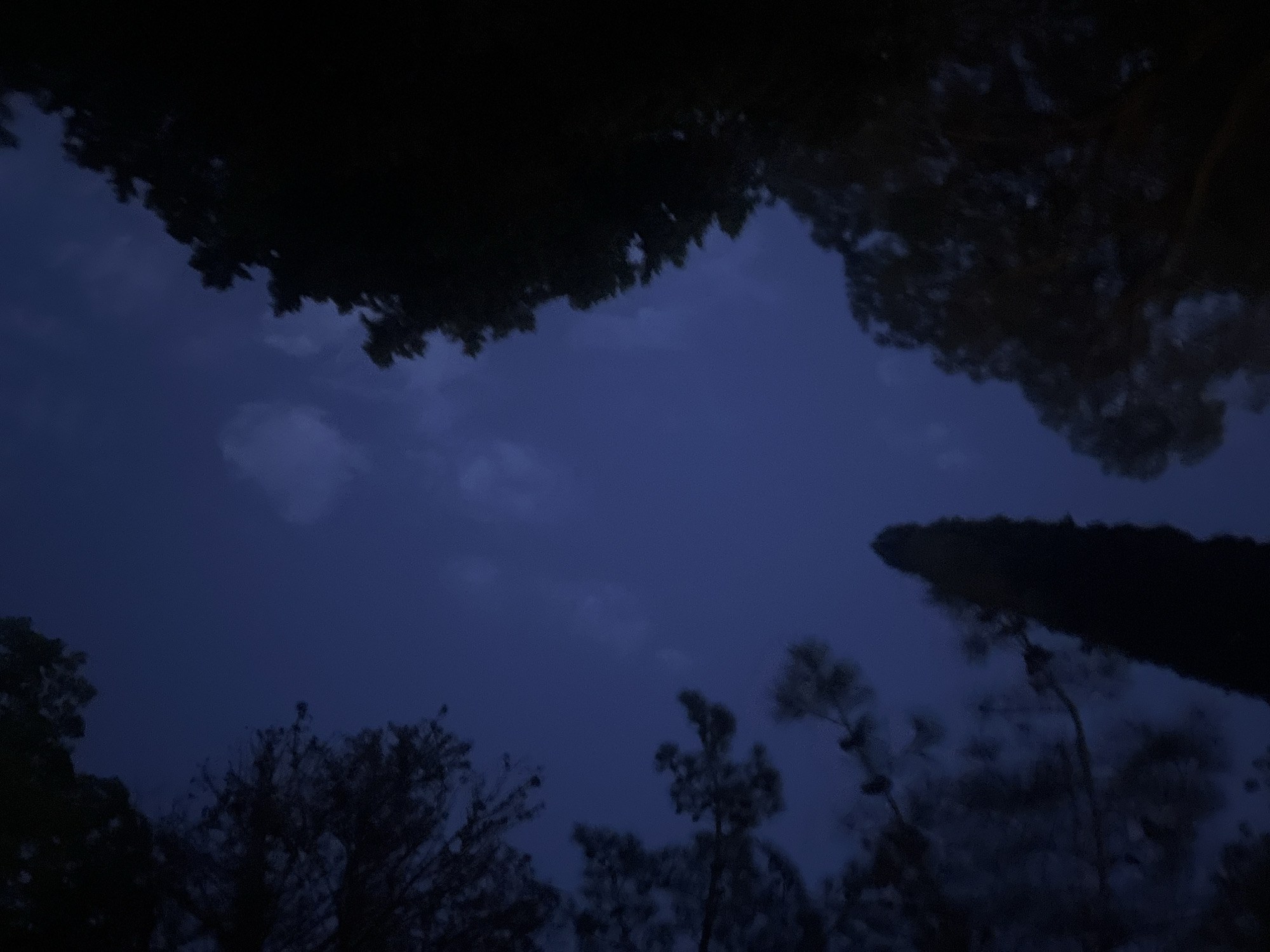 The image shows a dark, nighttime scene. The sky is a deep blue with some visible clouds. Silhouettes of trees frame the sky, both at the top and bottom of the image. The exact location in the city of Unknown, Unknown is not discernible from the image. There are no people visible.