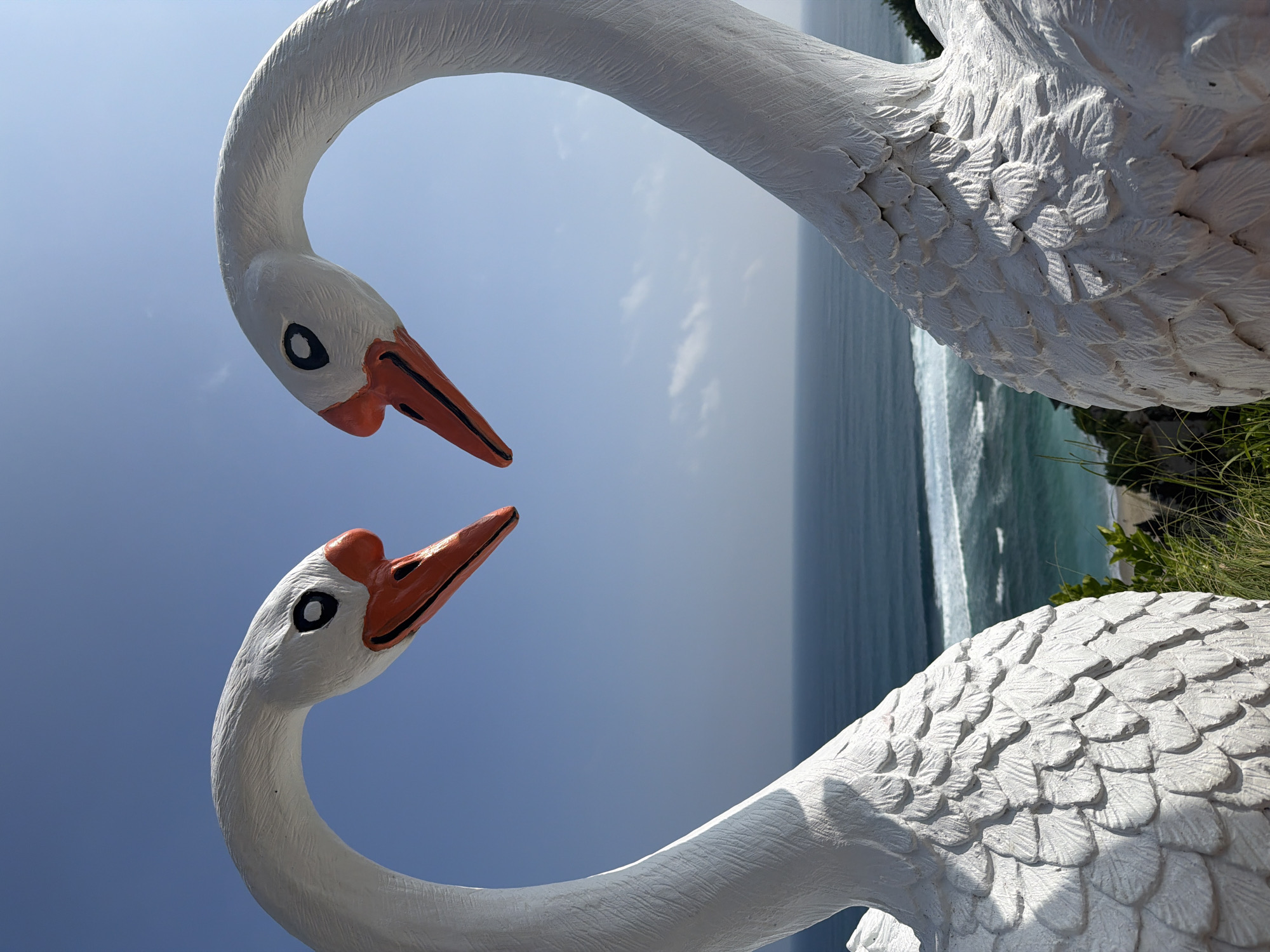 Two large white swan statues dominate the foreground, positioned symmetrically to face each other with their necks curving inward to form a heart shape. Each swan is rendered in white with a textured surface simulating feathers, an orange beak with black details, and a black eye with a white pupil. The statues are situated on an elevated terrain, with sparse green vegetation visible at their bases. The mid-ground reveals a wide expanse of the ocean, displaying deep blue and turquoise hues, with white surf visible along a distant shoreline. The background consists of a clear, light blue sky with minimal, wispy white clouds. This scene is located in Ungasan, Indonesia, overlooking a coastal area.
